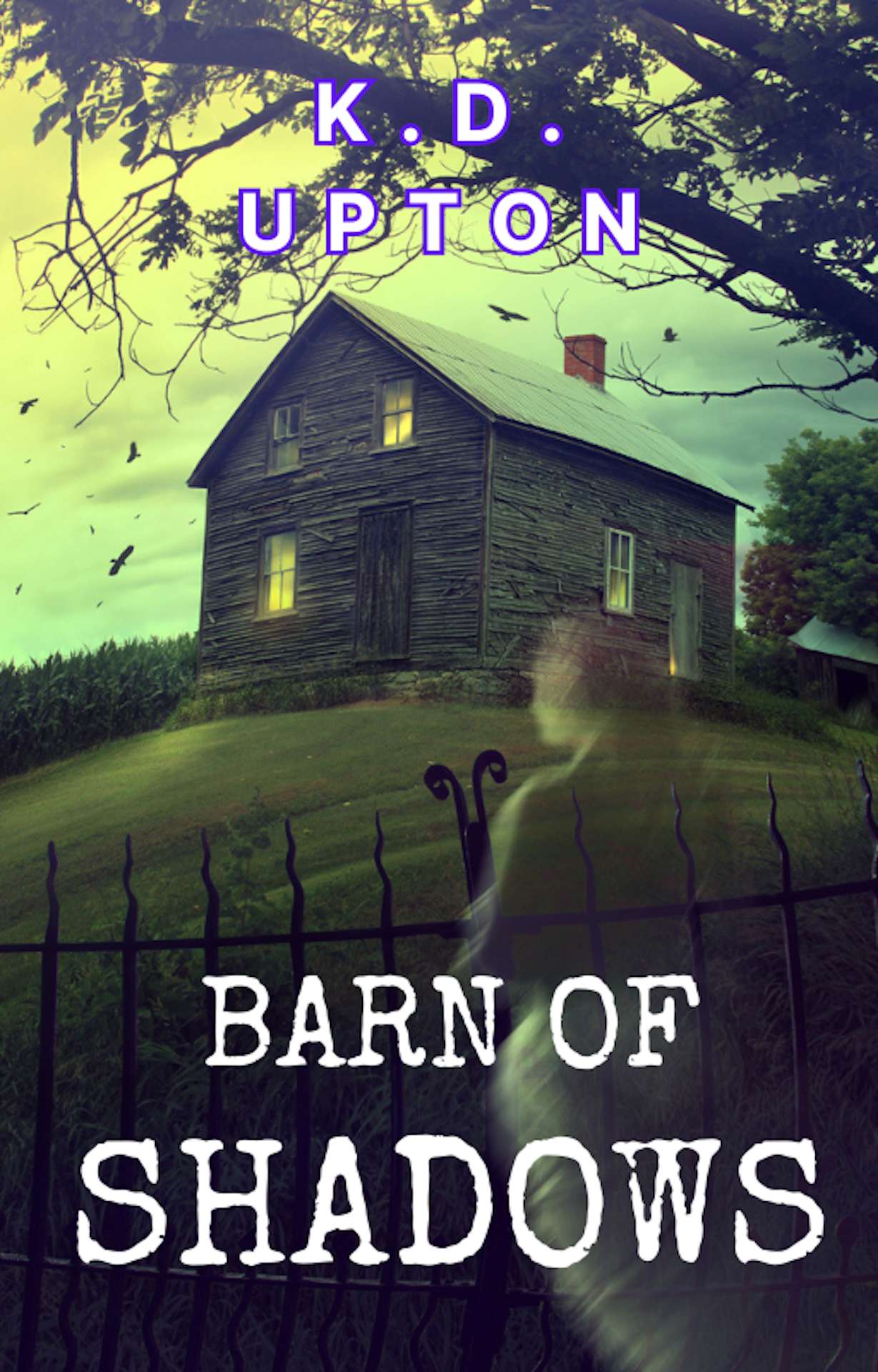Barn of Shadows - The Detective Cosmo Pritchard Mysteries Barn of Shadows - The Detective Cosmo Pritchard Mysteries