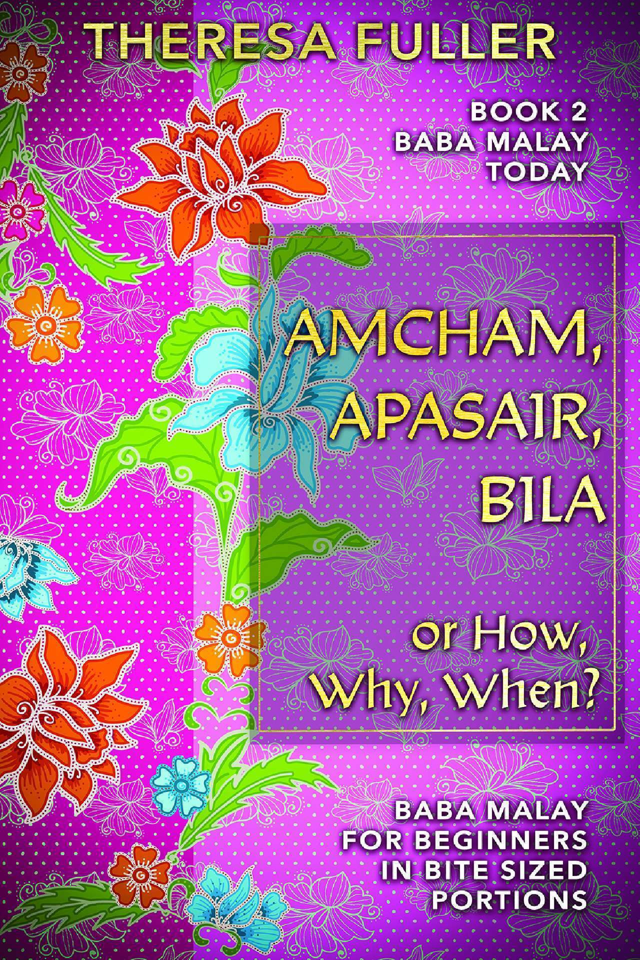 Amcham, Apasair, Bila or How, Why, When? - Baba Malay Today Series 2