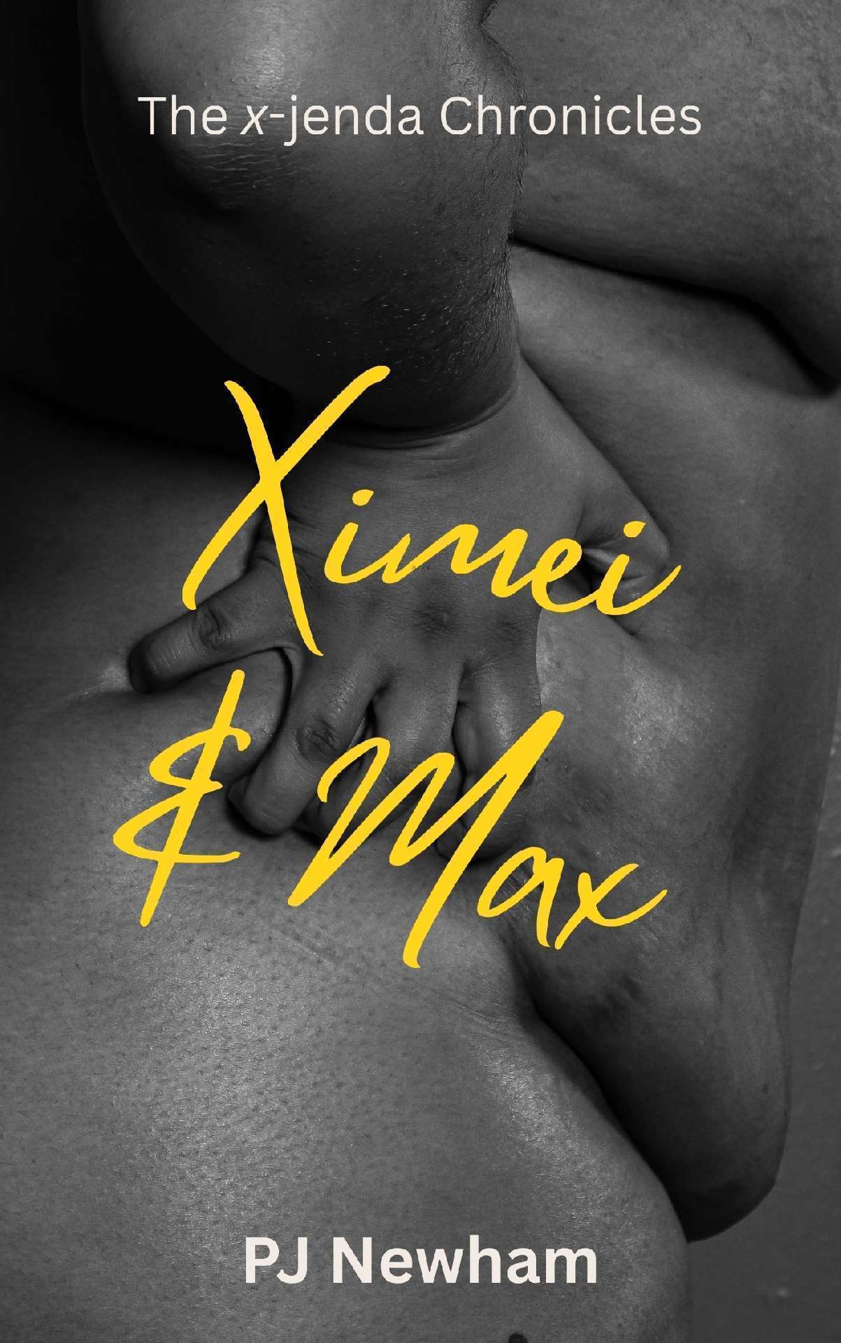 Ximei & Max - The x-jenda Chronicles 3