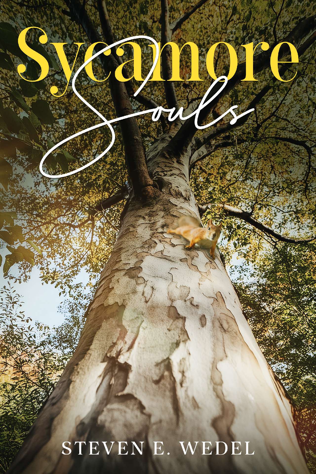 Sycamore Souls Sycamore Souls