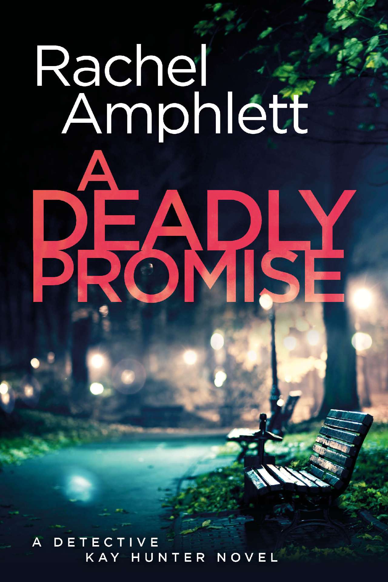 A Deadly Promise - Detective Kay Hunter 13