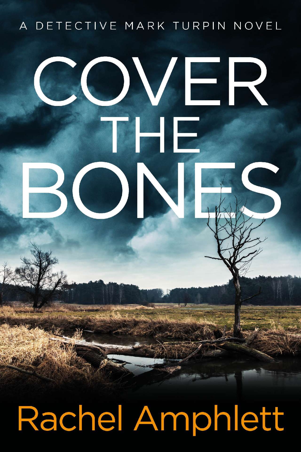 Cover the Bones - Detective Mark Turpin 5