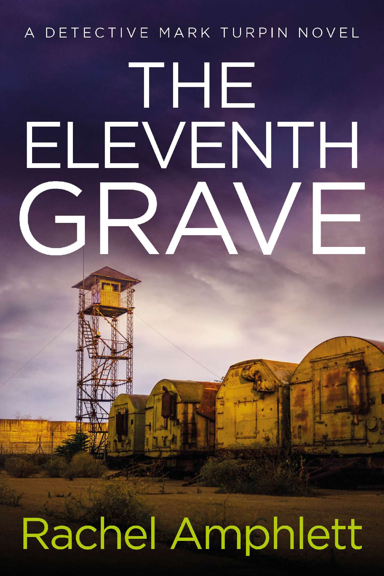 The Eleventh Grave - Detective Mark Turpin 6