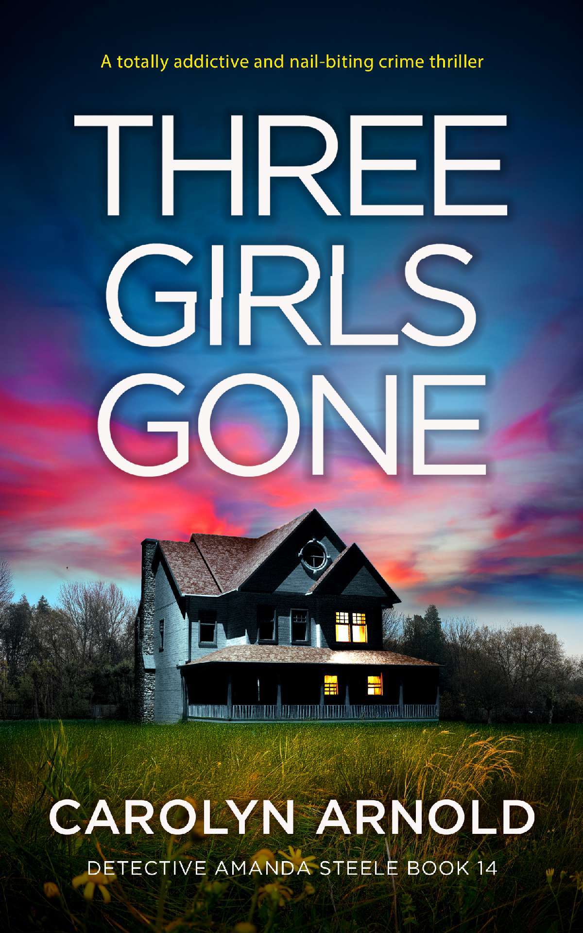 Three Girls Gone - Detective Amanda Steele Series 14
