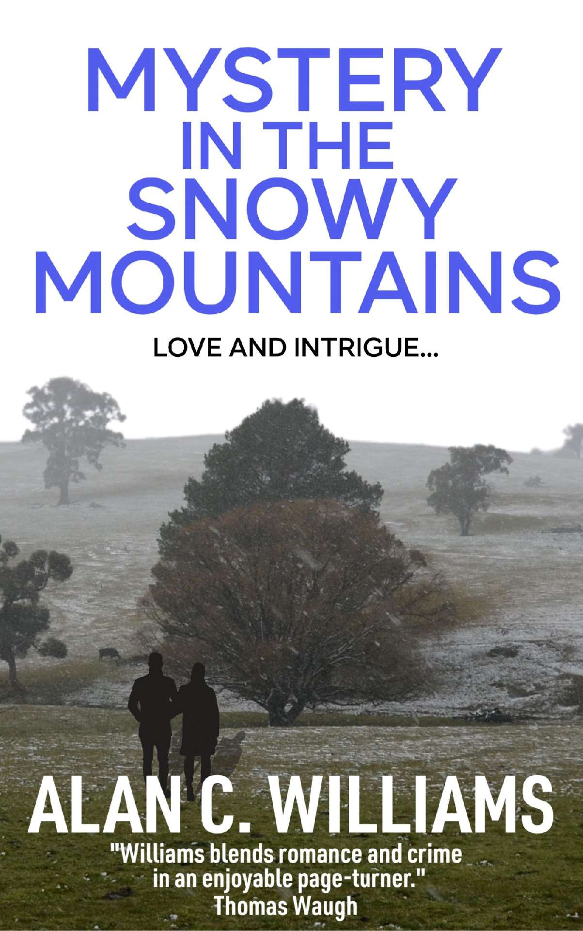 Mystery in the Snowy Mountains