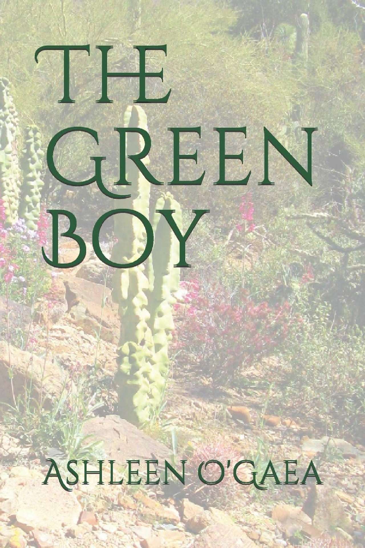 The Green Boy - the Bliss Harper series 1
