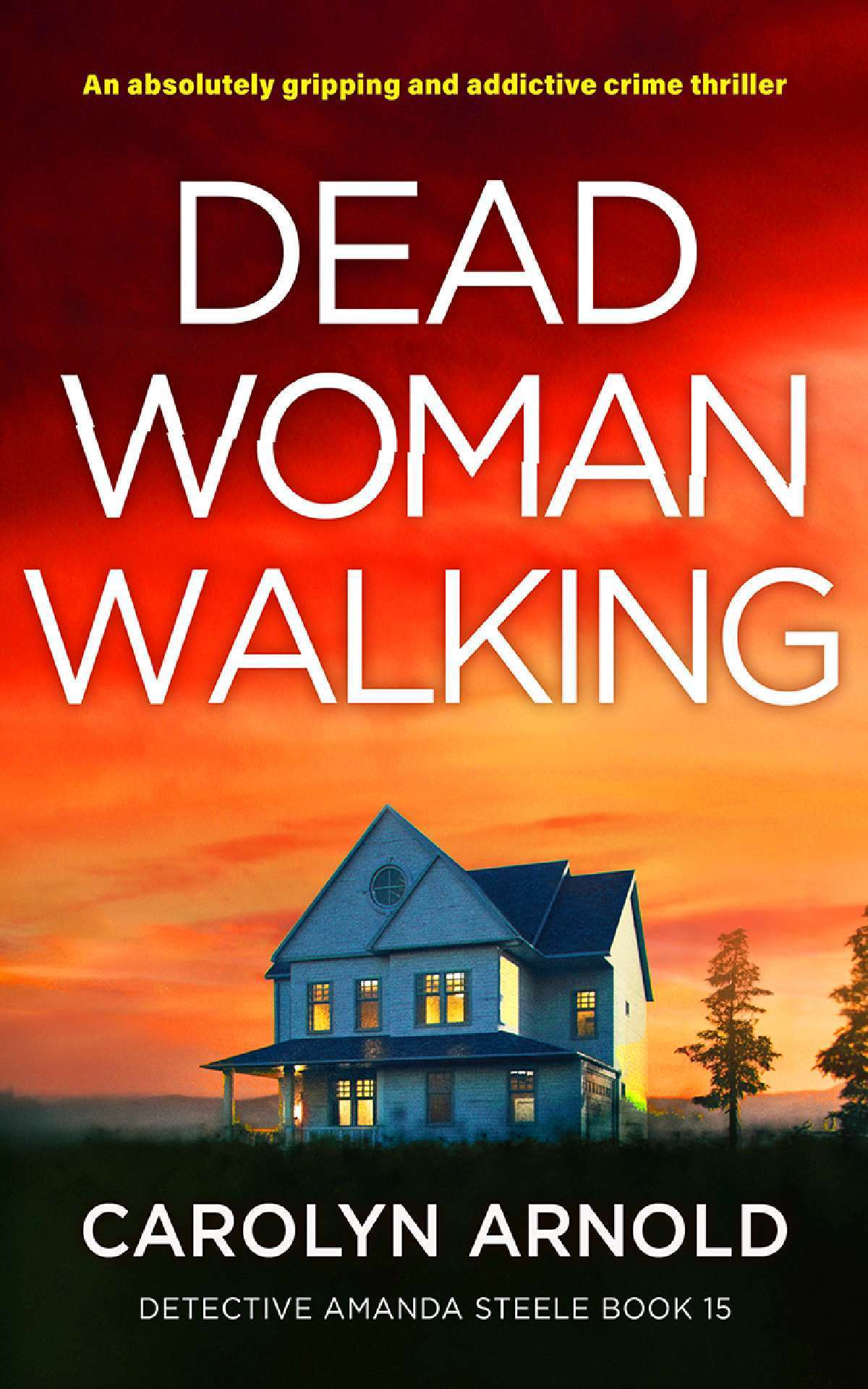 Dead Woman Walking - Detective Amanda Steele Series 15