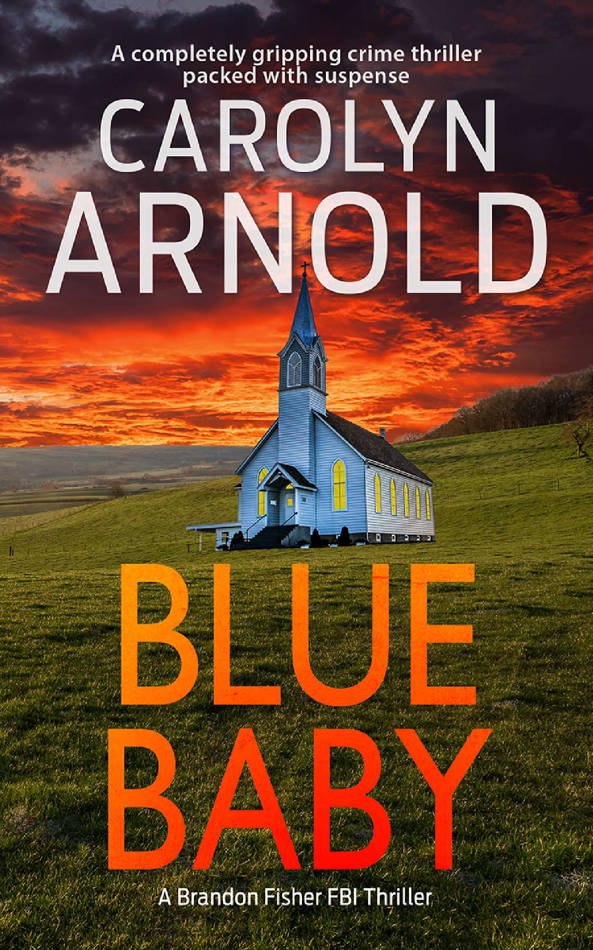 Blue Baby - Brandon Fisher FBI Series 4