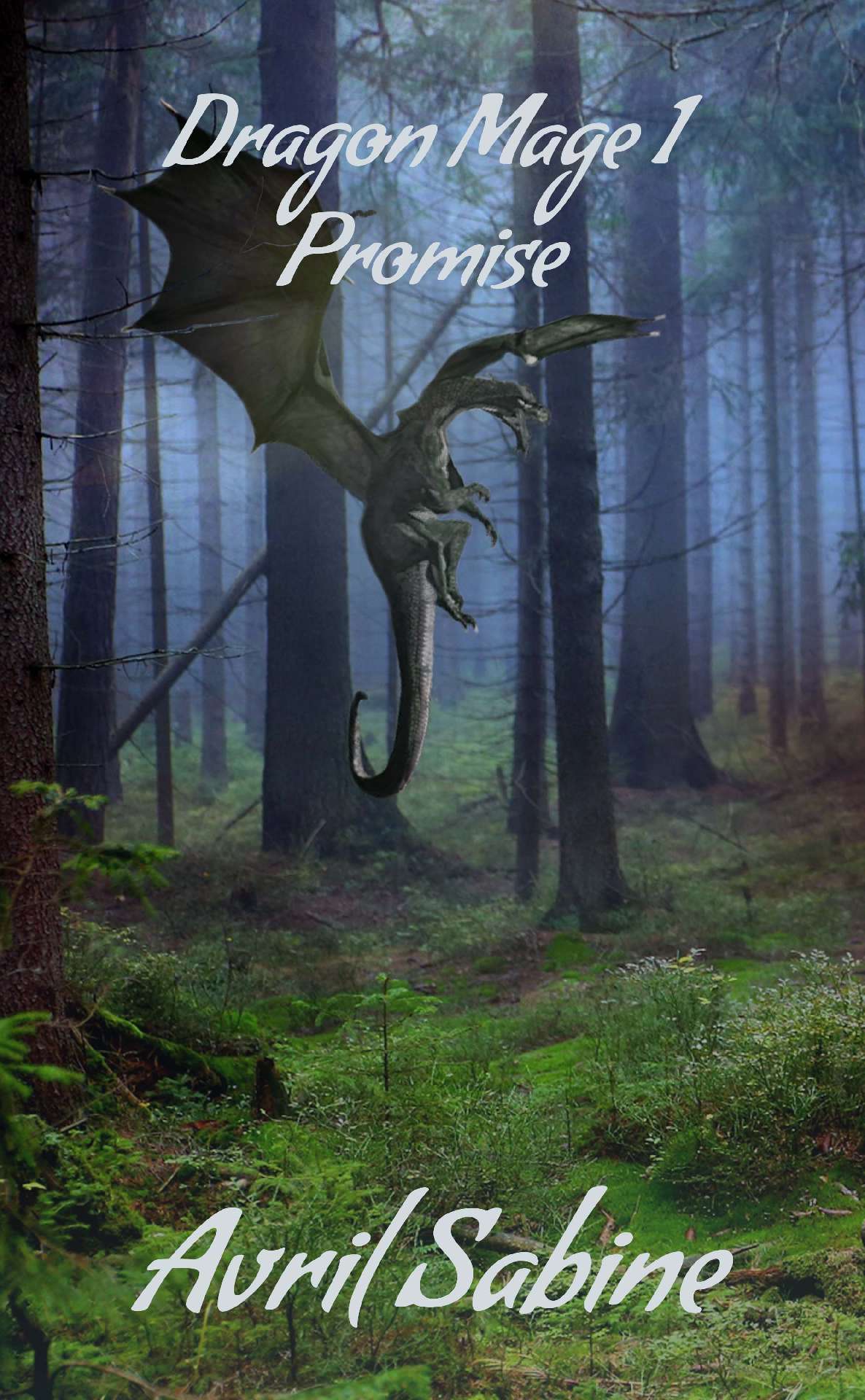 Promise - Dragon Mage 1