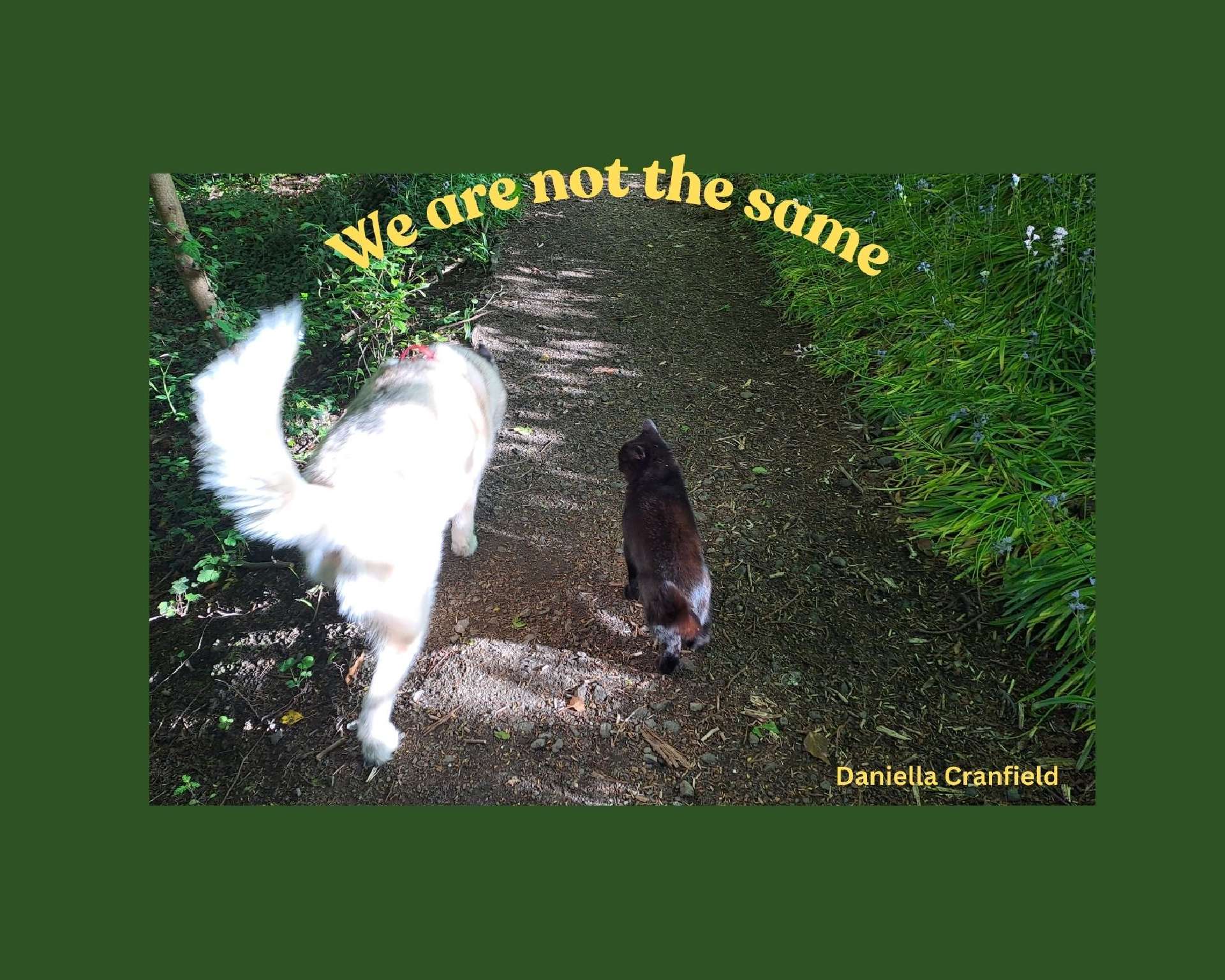 We Are Not The Same