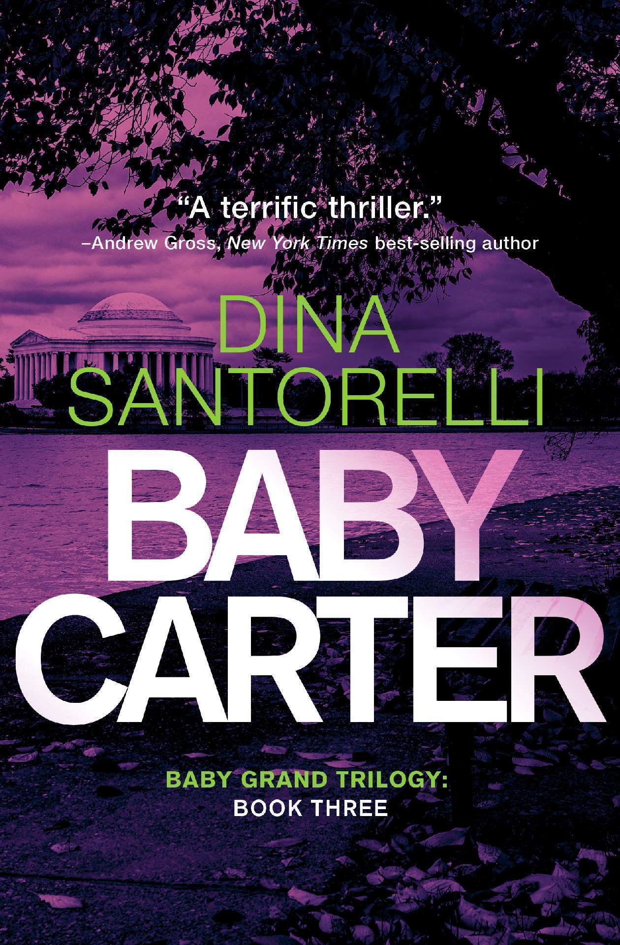 Baby Carter - Baby Grand Trilogy 3