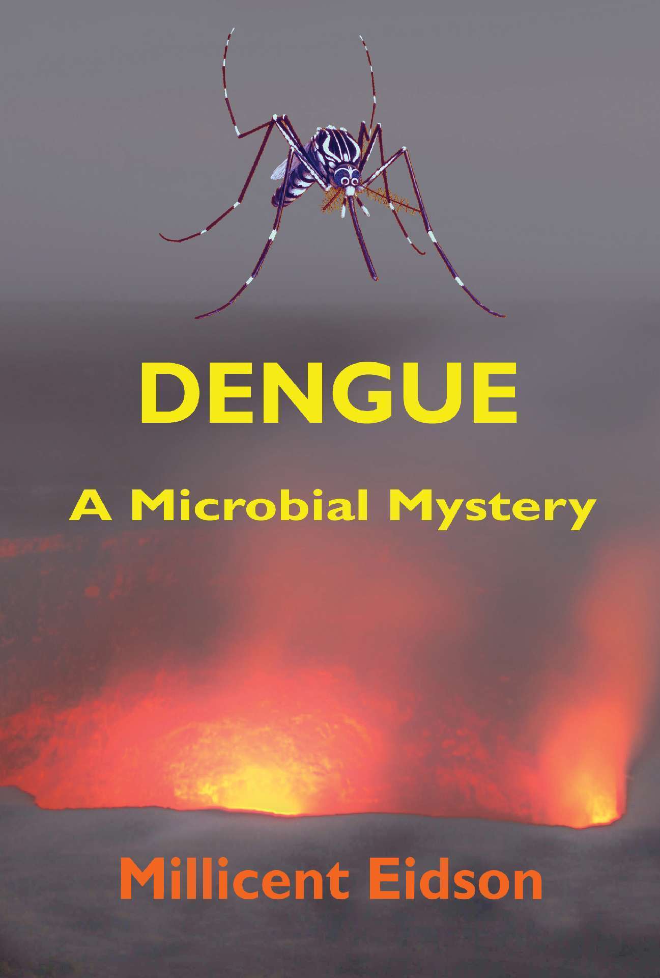 Dengue: A Microbial Mystery - MayaVerse 4