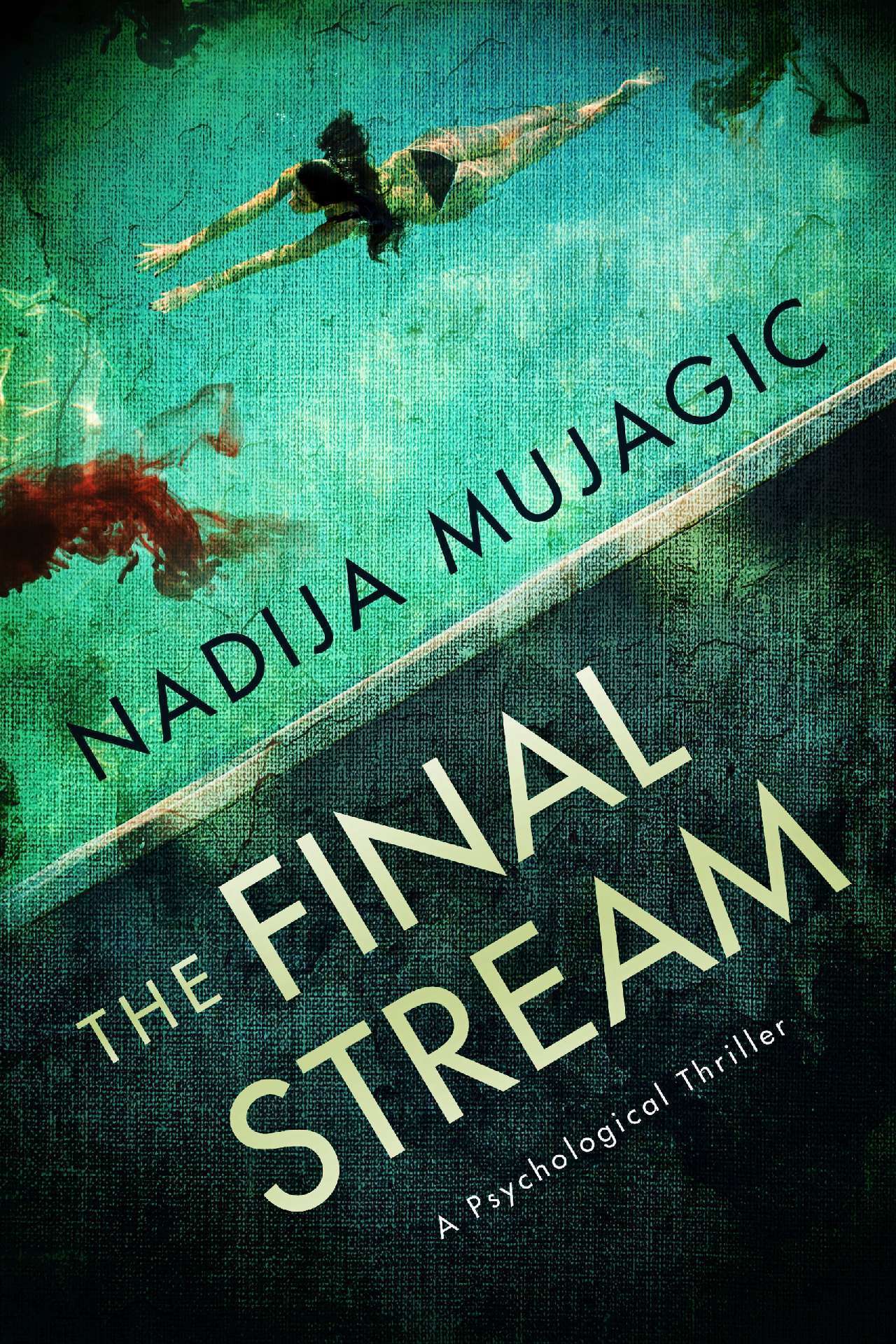 The Final Stream: A Psychological Thriller