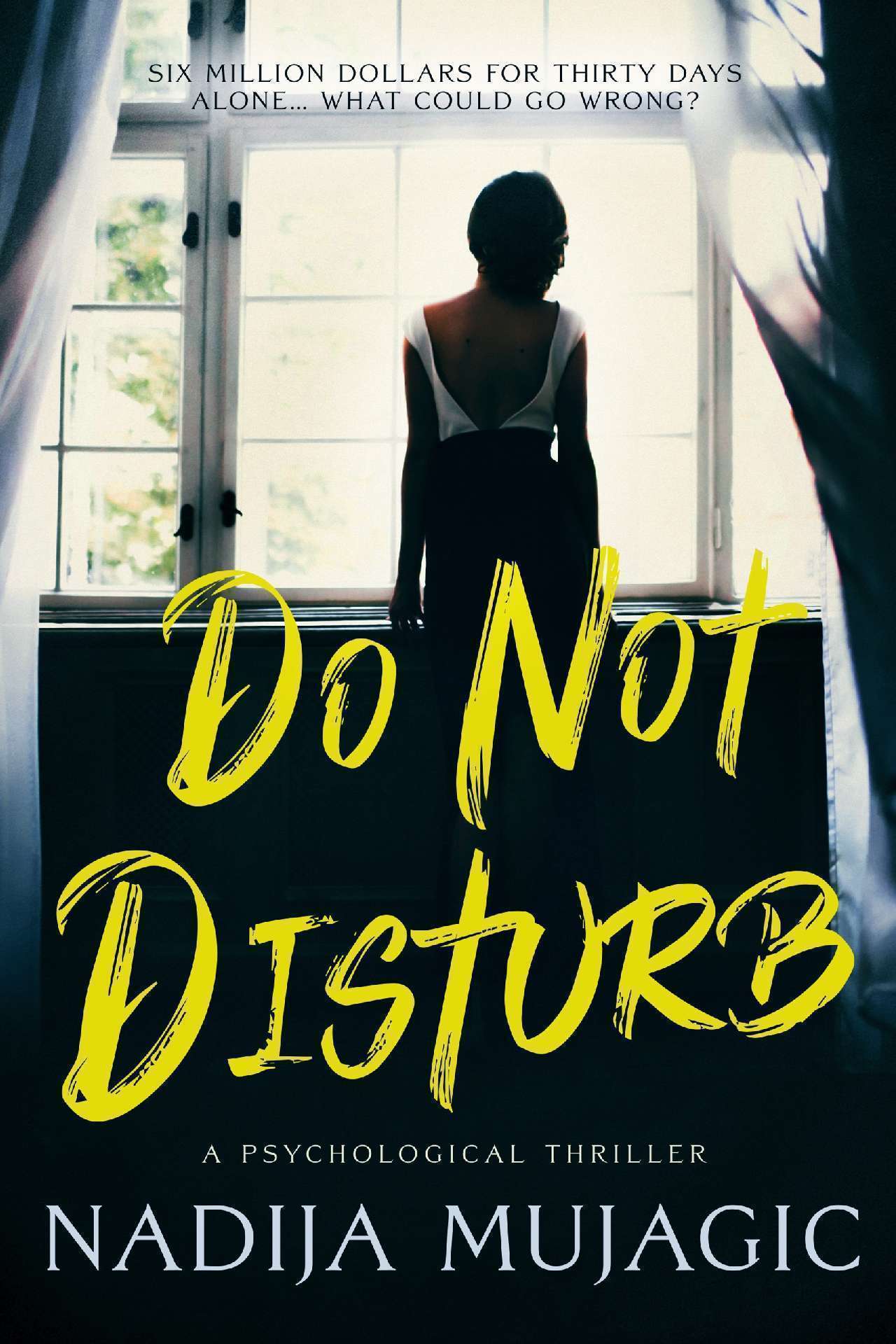 Do Not Disturb: A Psychological Thriller