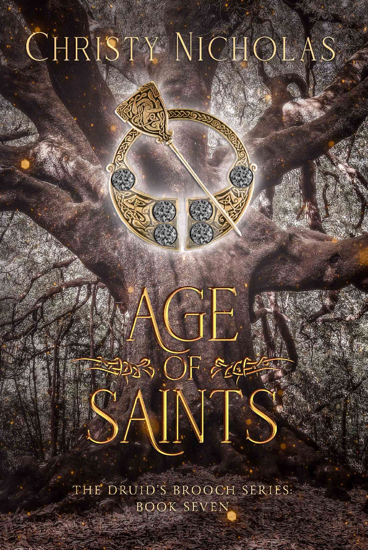 Age of Saints - The Druid's Brooch Series 7