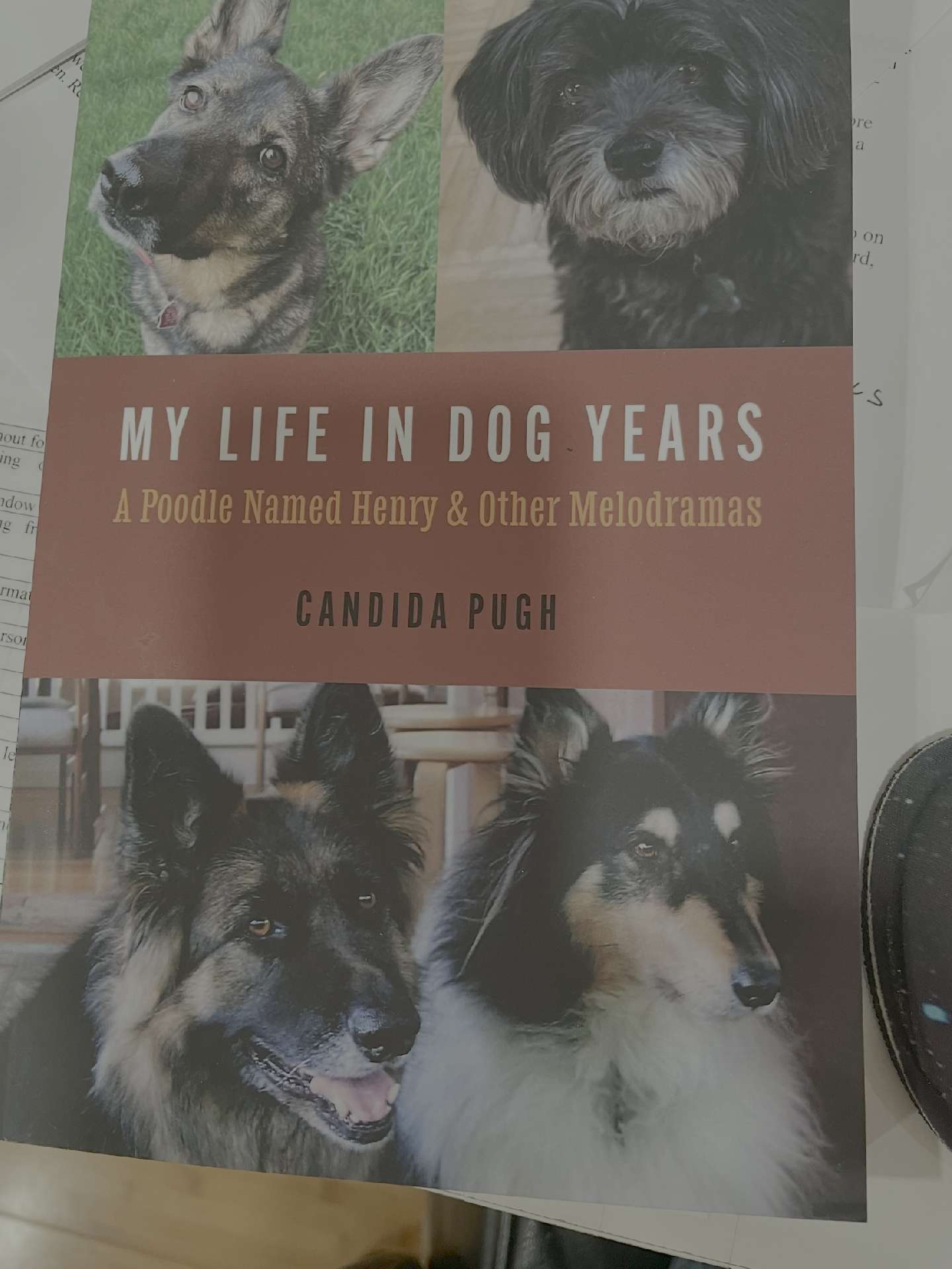 My Life in Dog Years: A Poodle Named Henry and Other Melodramas