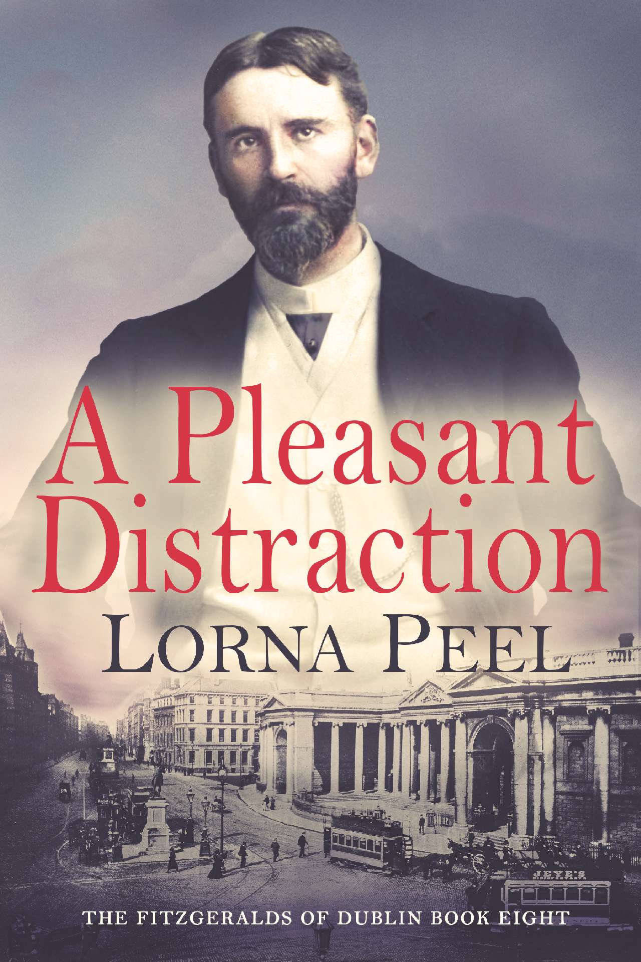 A Pleasant Distraction - The Fitzgeralds of Dublin Series 8