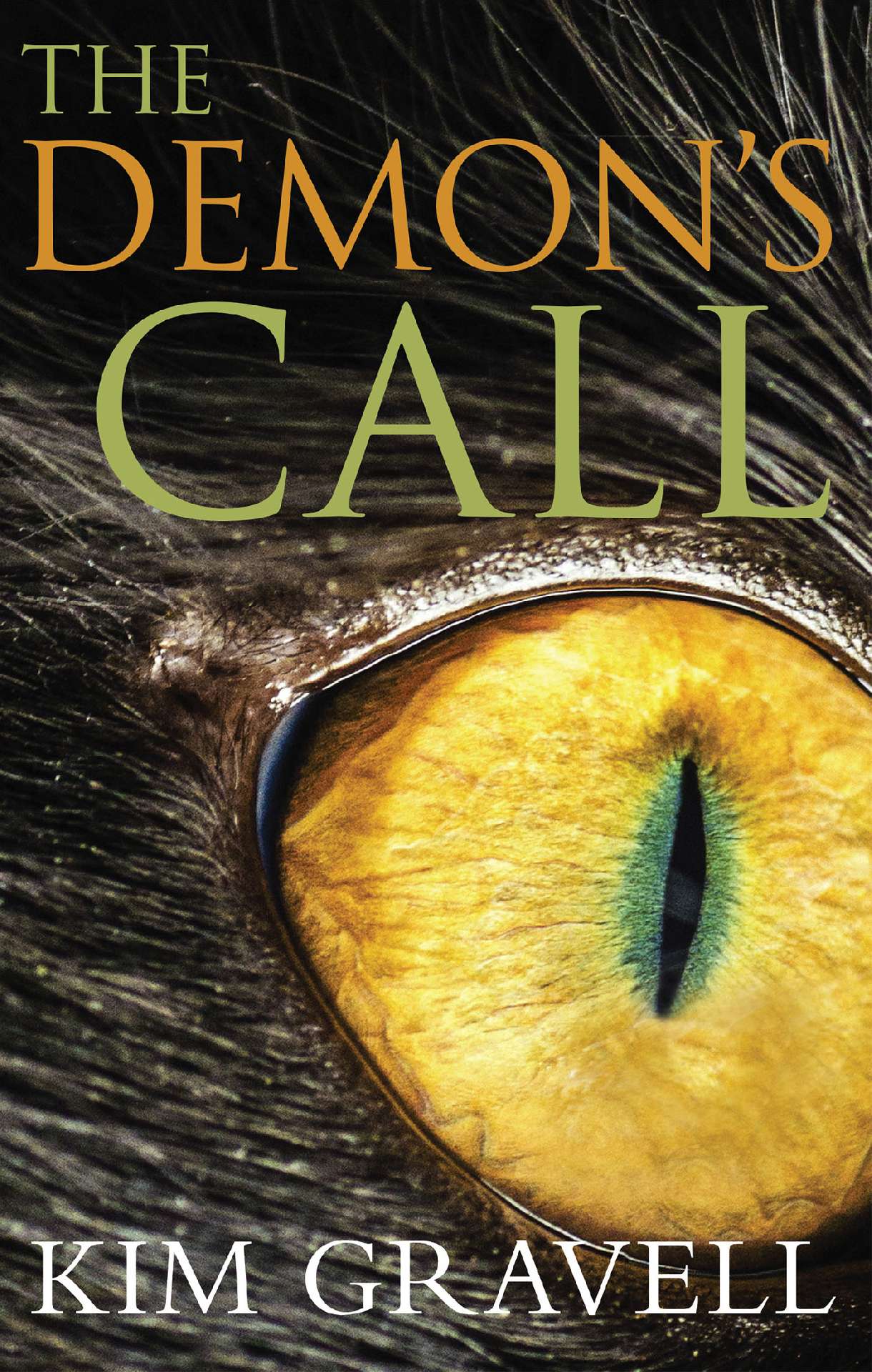 The Demon's Call - Dark Places 1