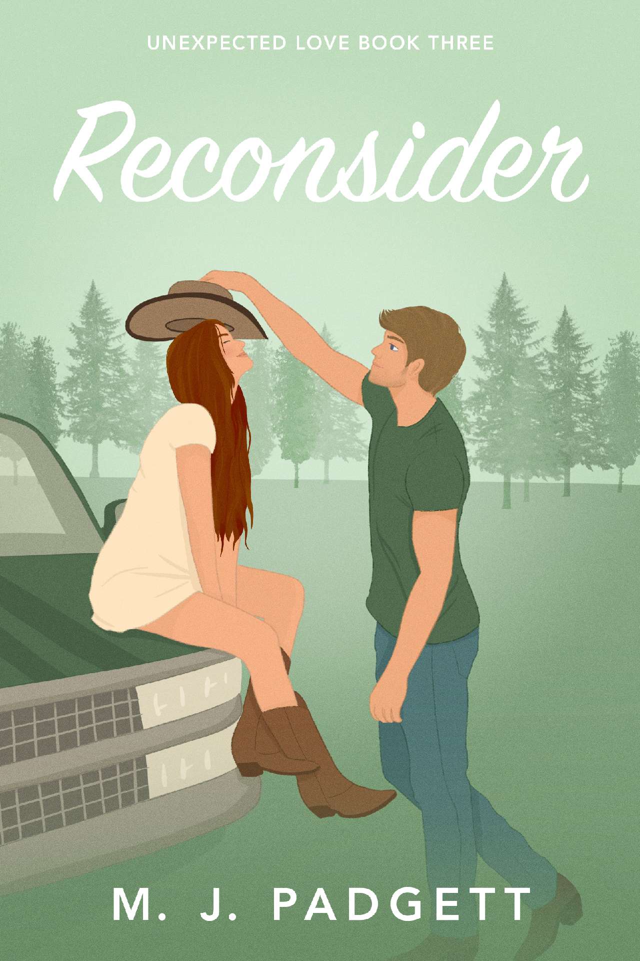 Reconsider - Unexpected Love 3