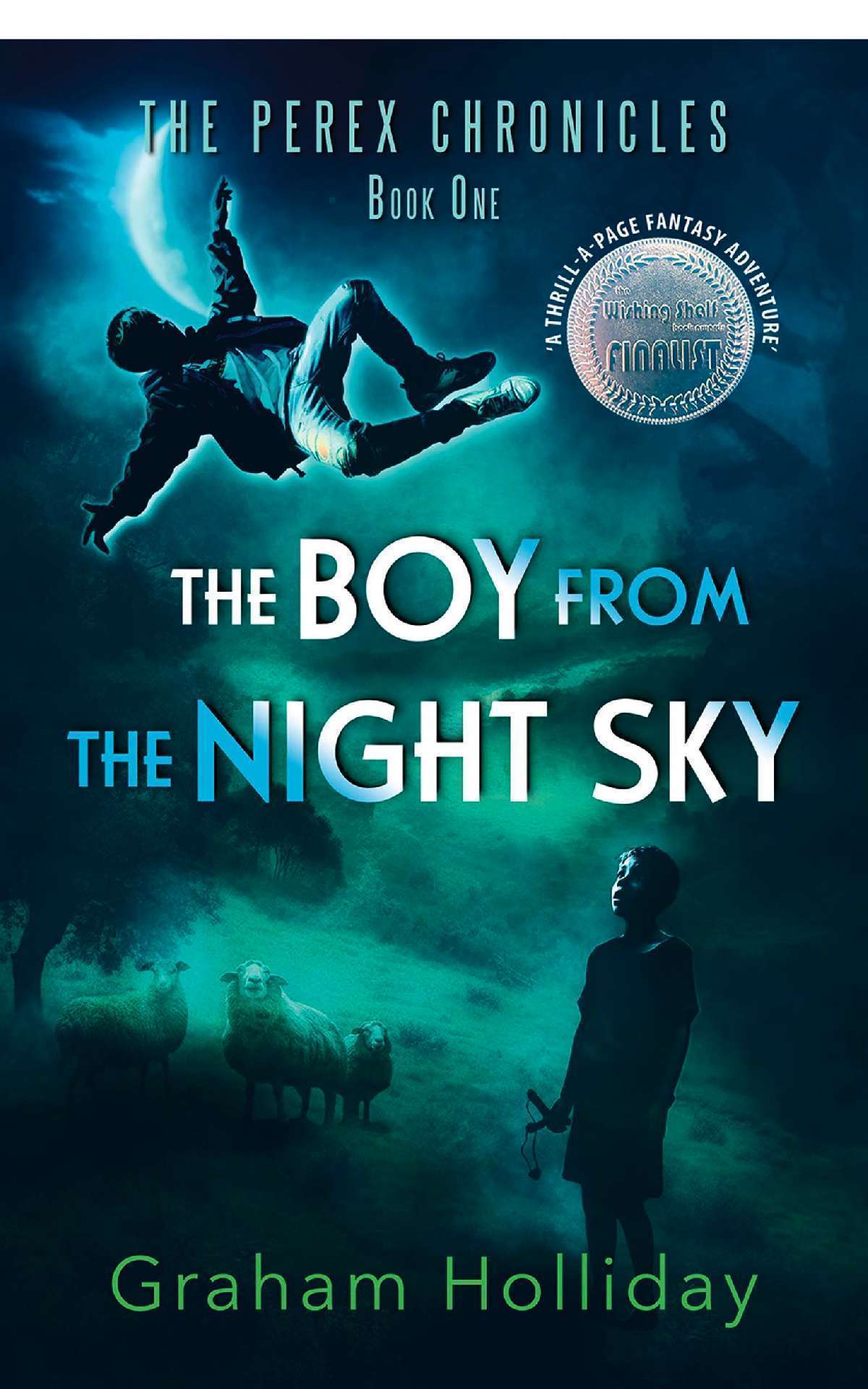 The Boy from the Night Sky - The Perex Chronicles 1
