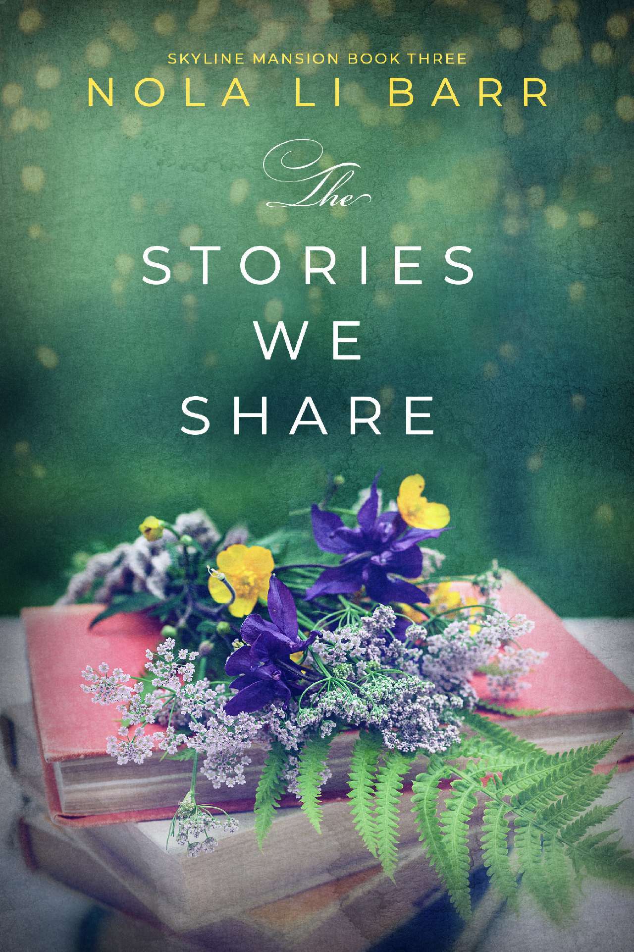 The Stories We Share - Skyline Mansion 3