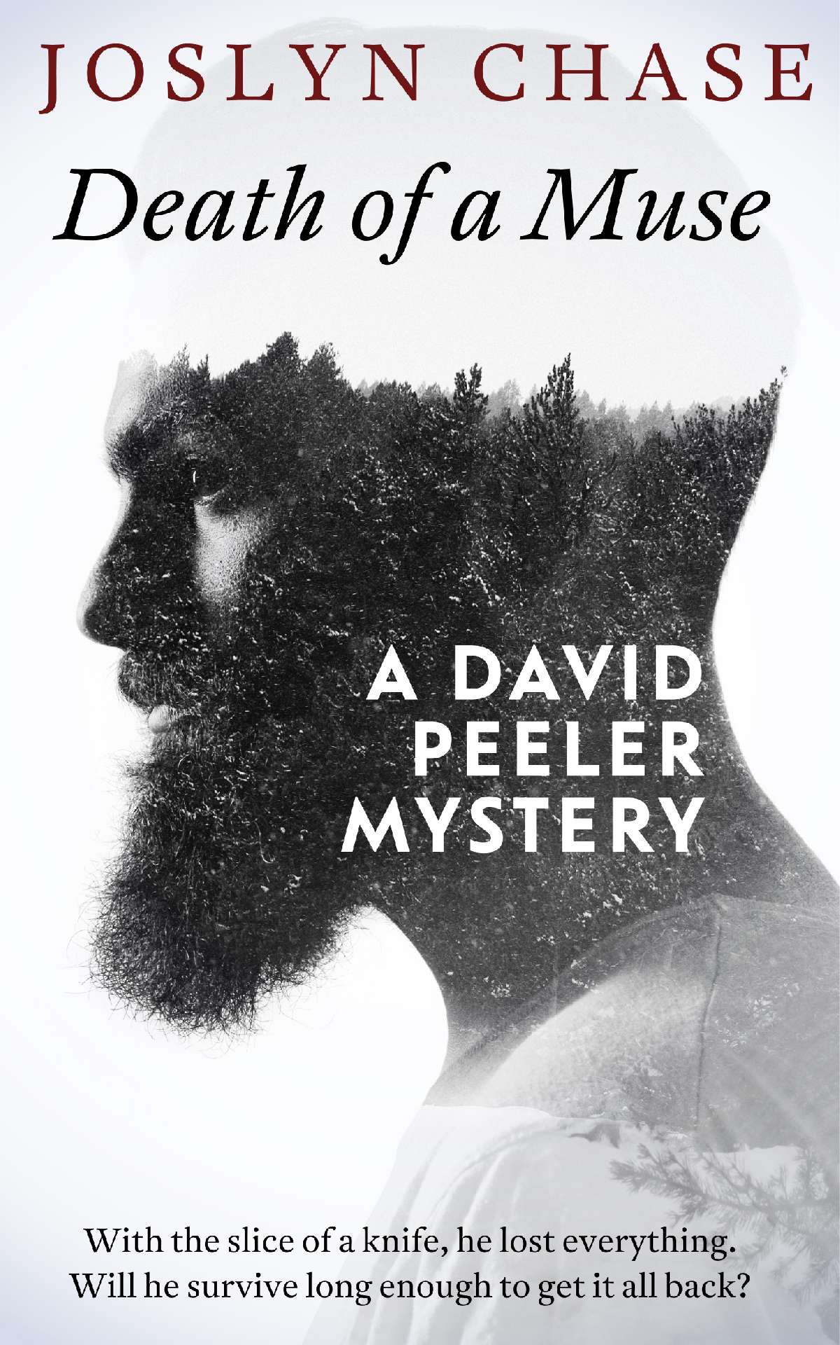 Death of a Muse - David Peeler Mysteries 1