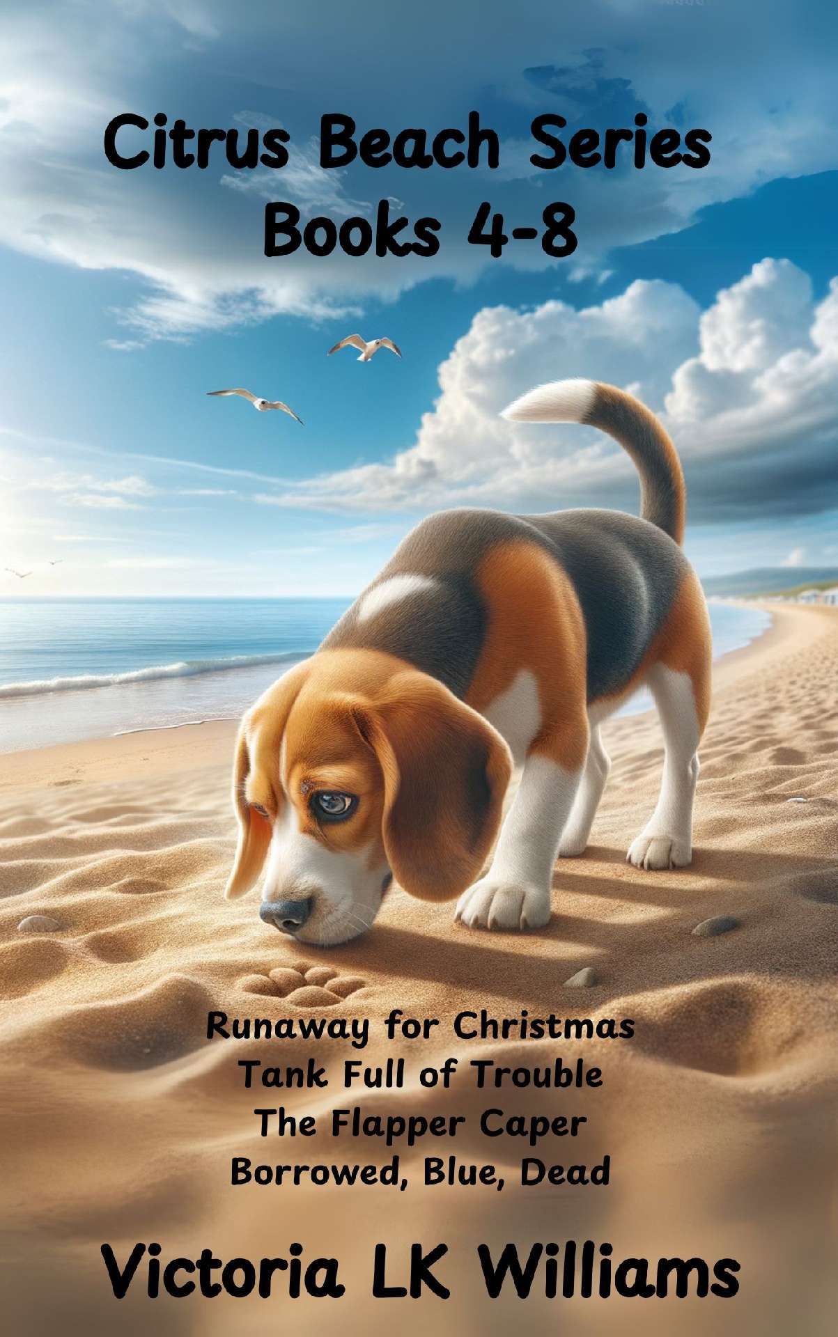 Citrus Beach Series Books 4-8 - Citrus Beach Mysteries
