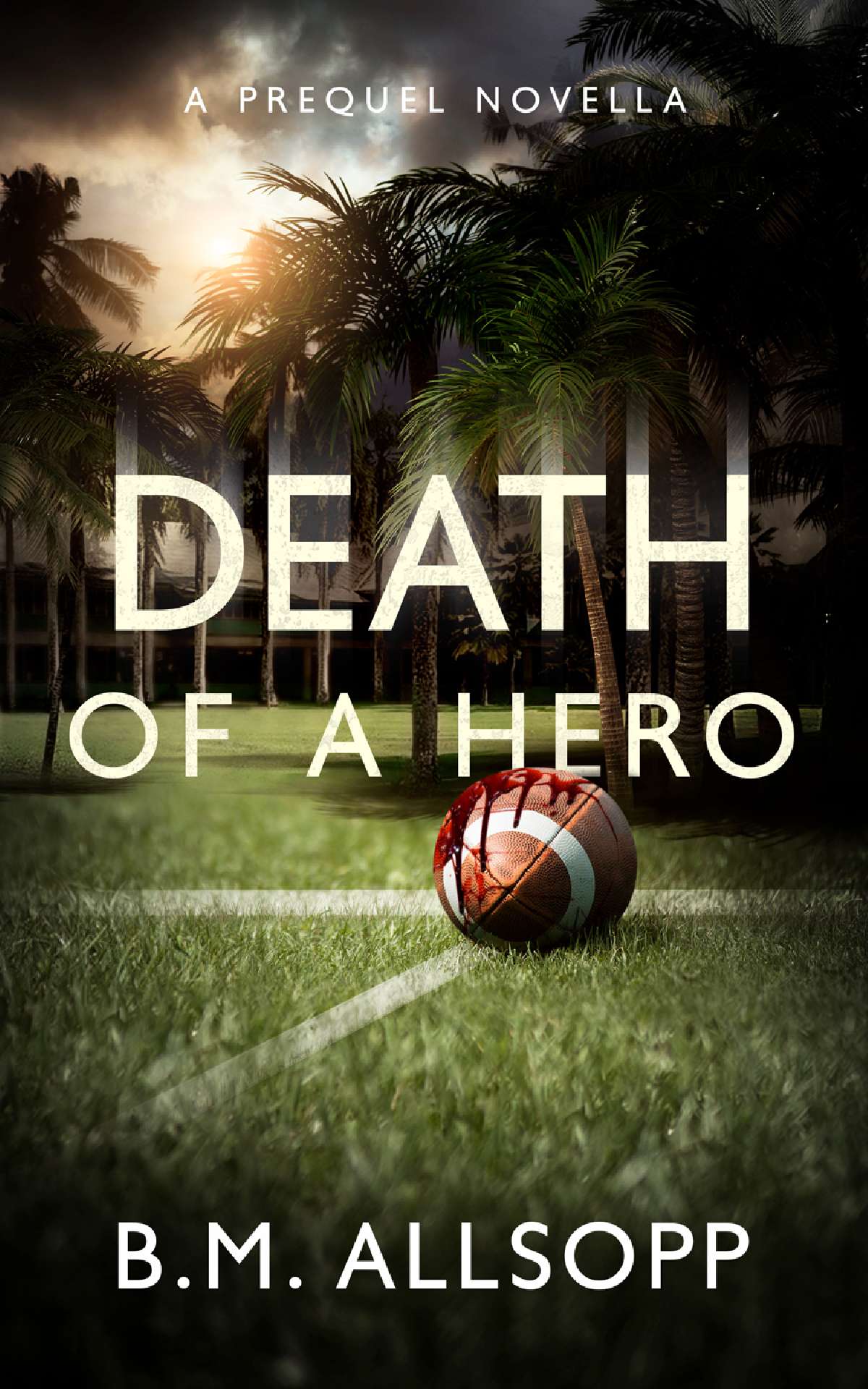 Death of a Hero:  How it all began - Fiji Islands Mysteries 0
