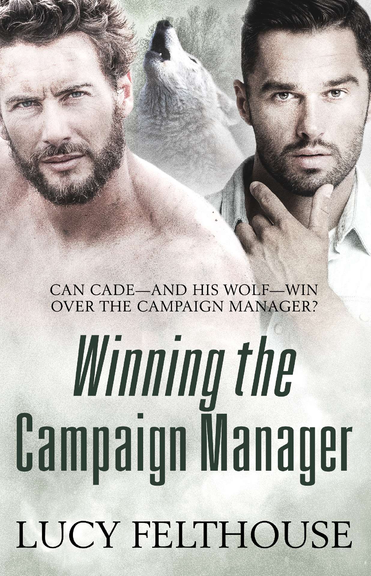 Winning the Campaign Manager Winning the Campaign Manager
