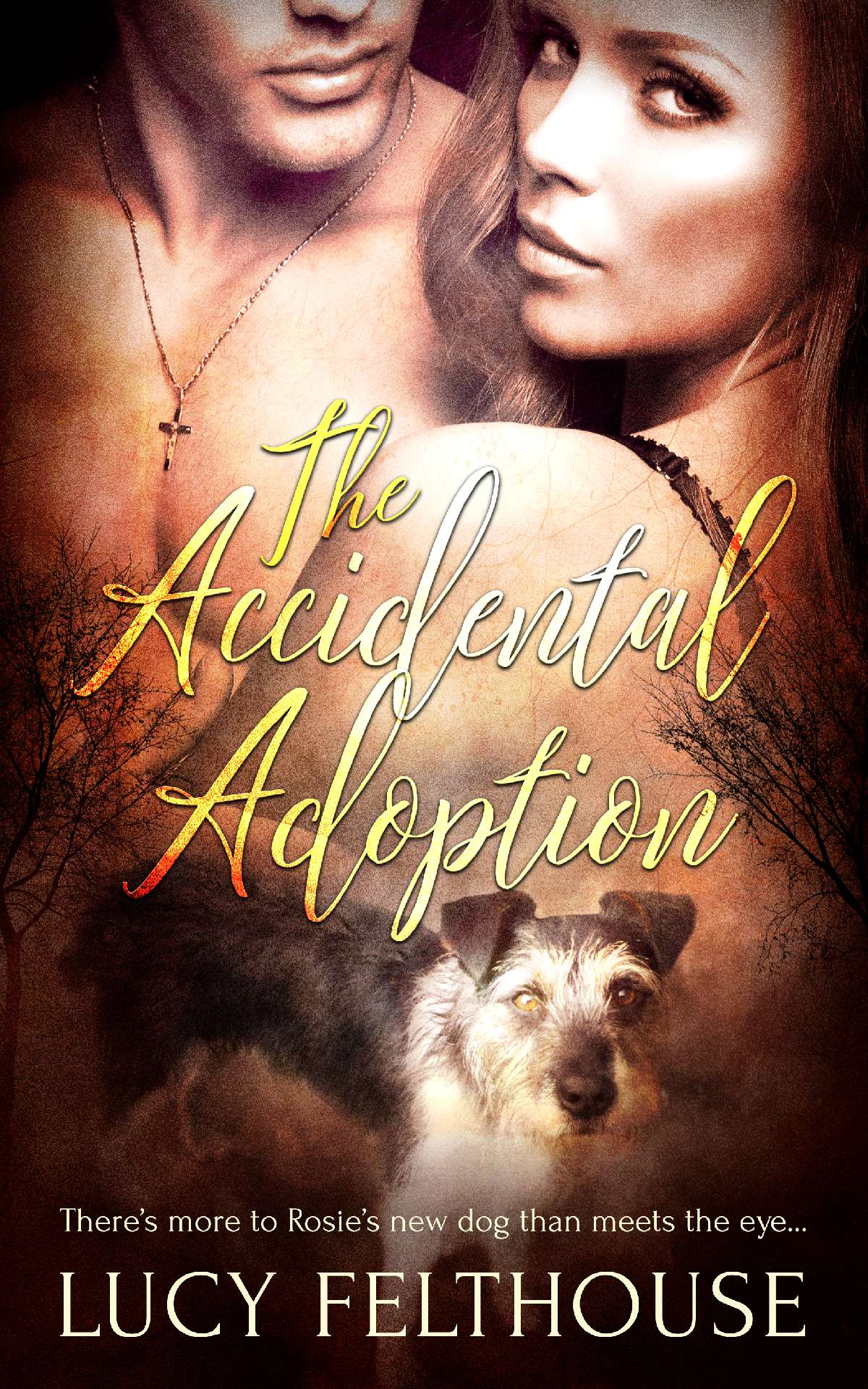The Accidental Adoption The Accidental Adoption