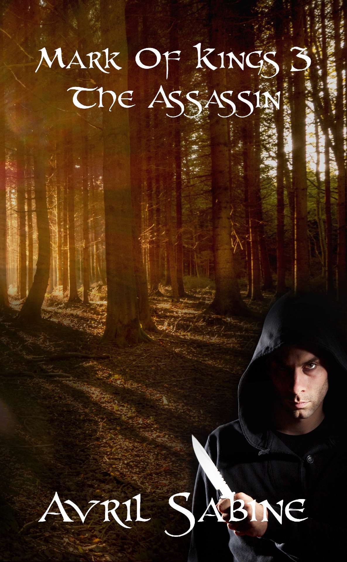 Mark Of Kings 3: The Assassin - Mark Of Kings 3