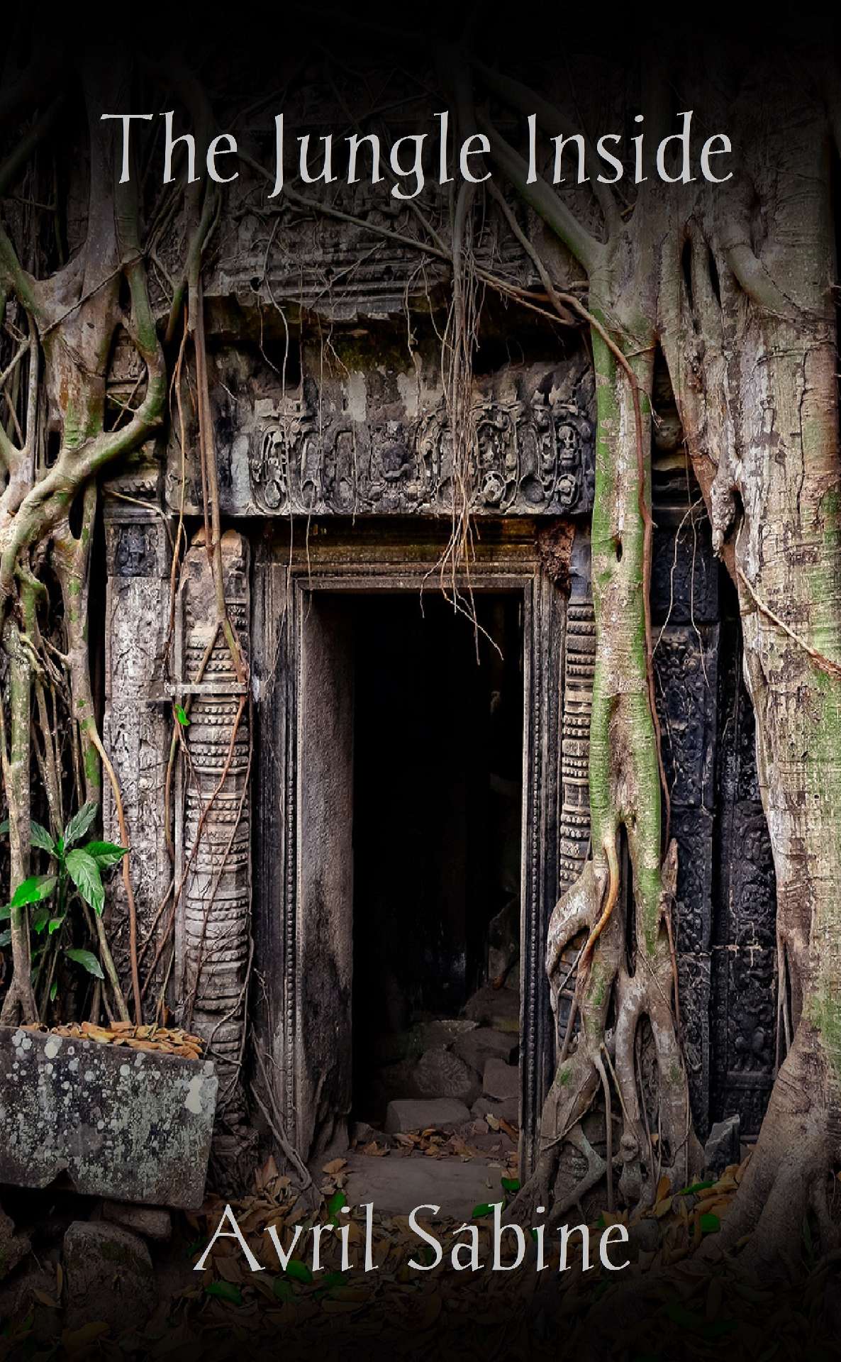 The Jungle Inside