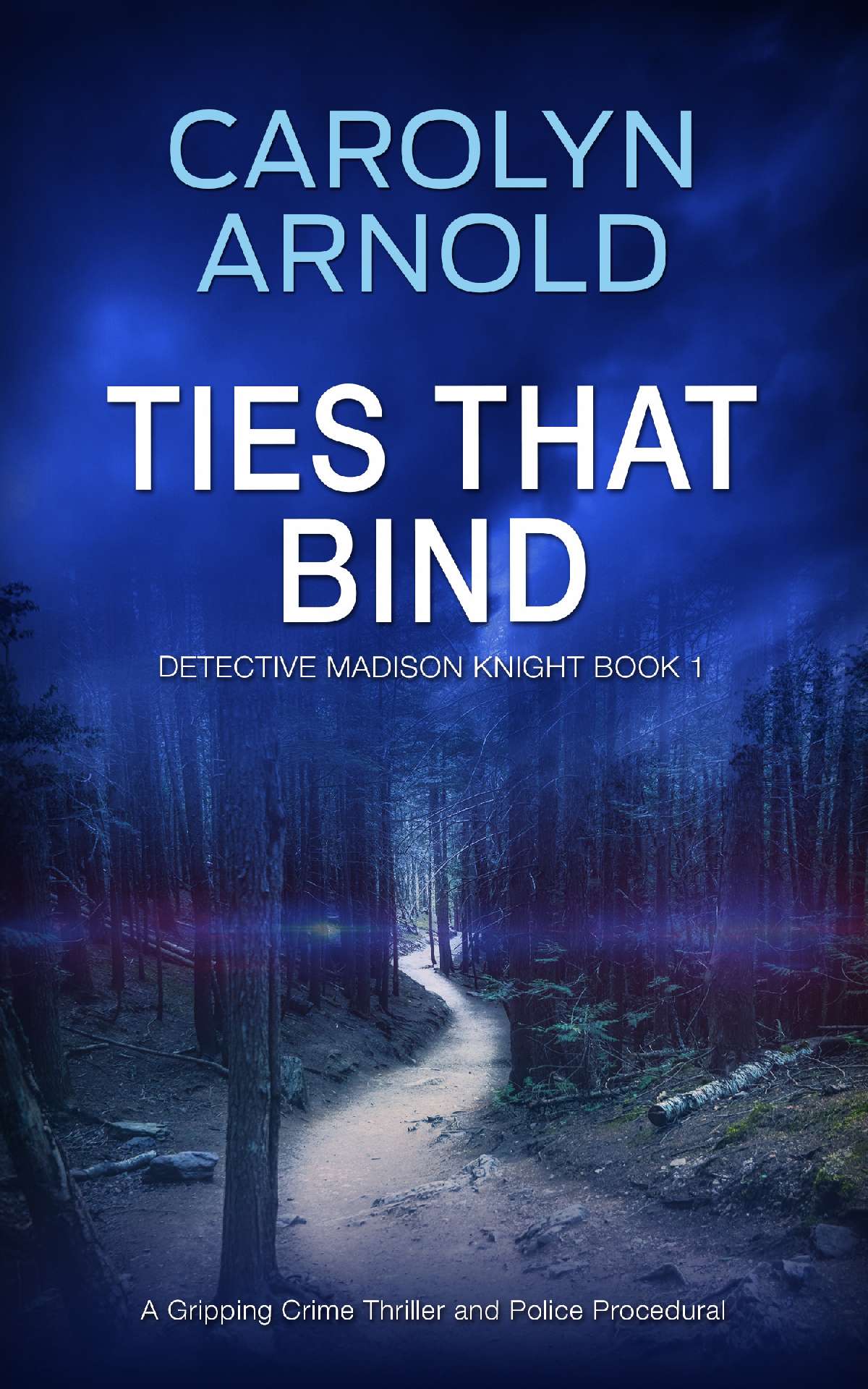 Ties That Bind - Detective Madison Knight Series 1