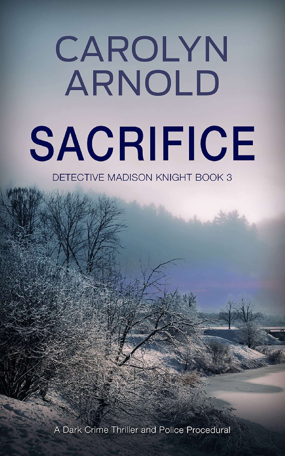 Sacrifice - Detective Madison Knight Series 3