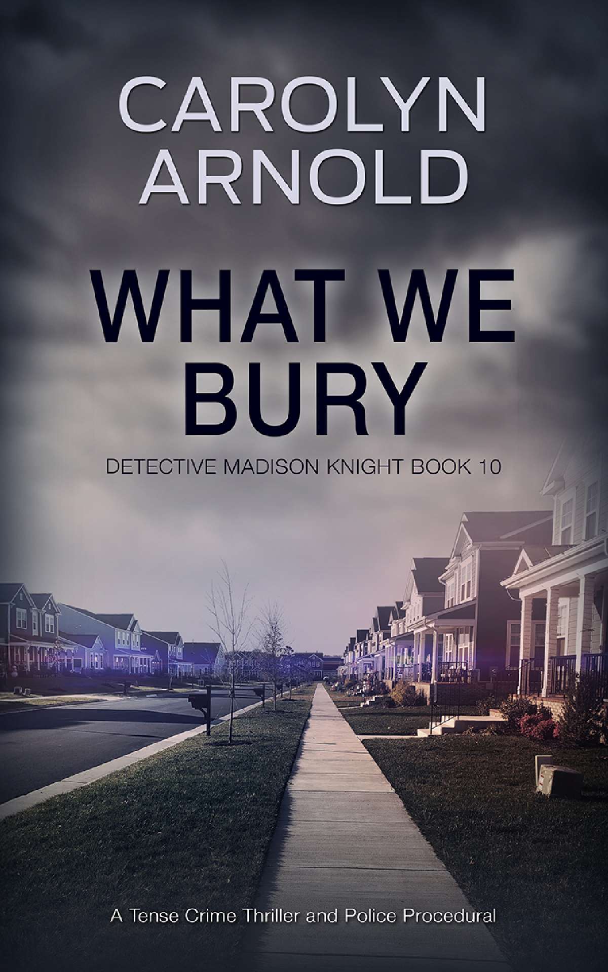 What We Bury - Detective Madison Knight Series 10