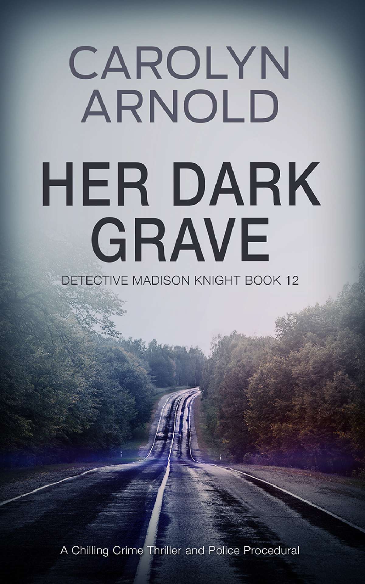 Her Dark Grave - Detective Madison Knight Series 12