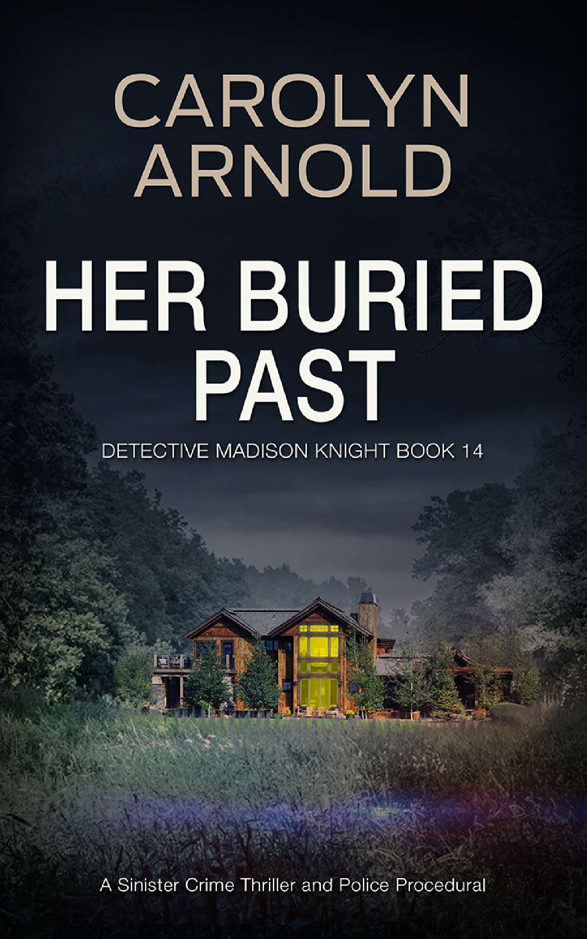 Her Buried Past - Detective Madison Knight Series 14