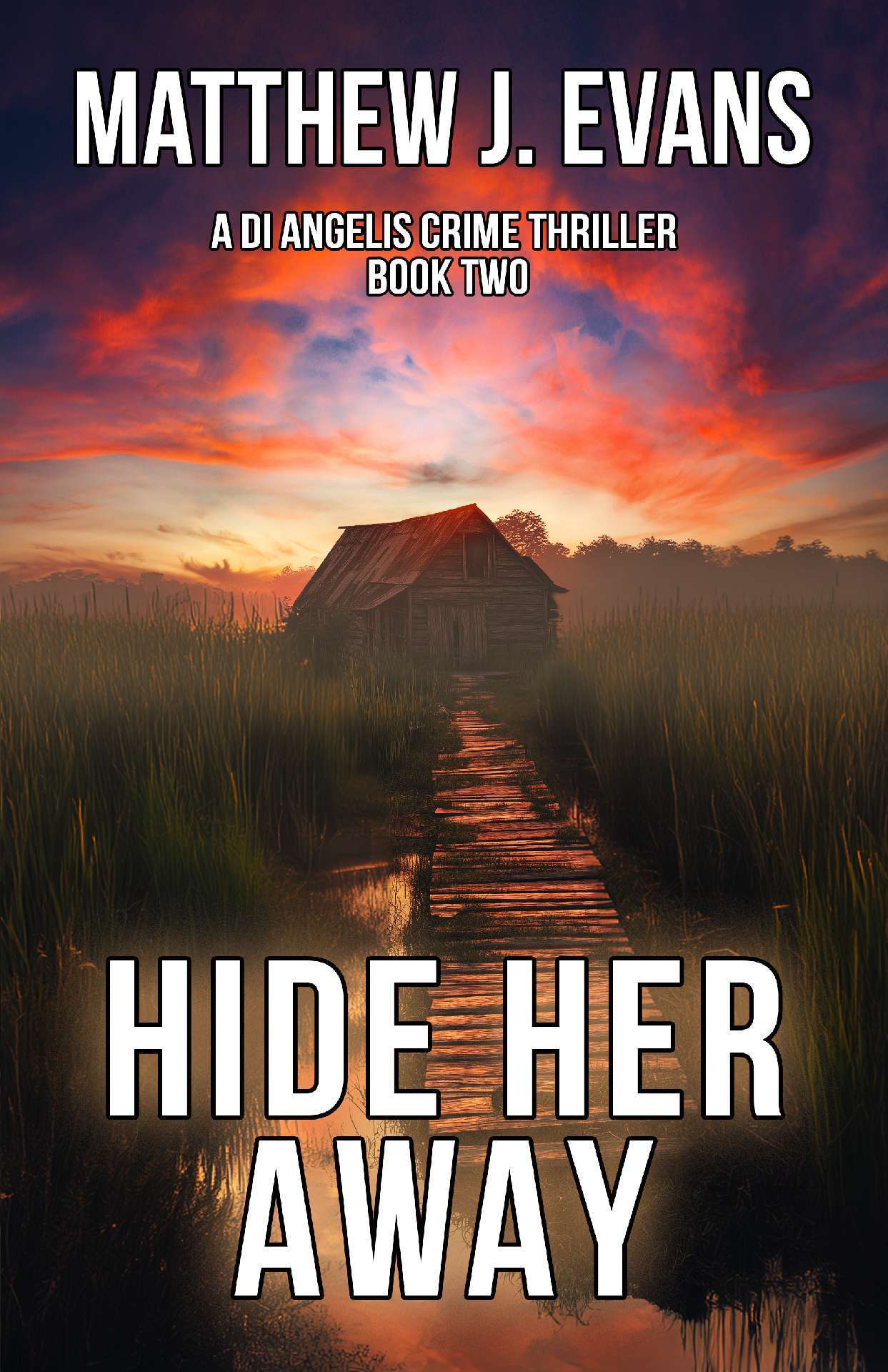 Hide Her Away - DI Angelis Crime Thriller 2