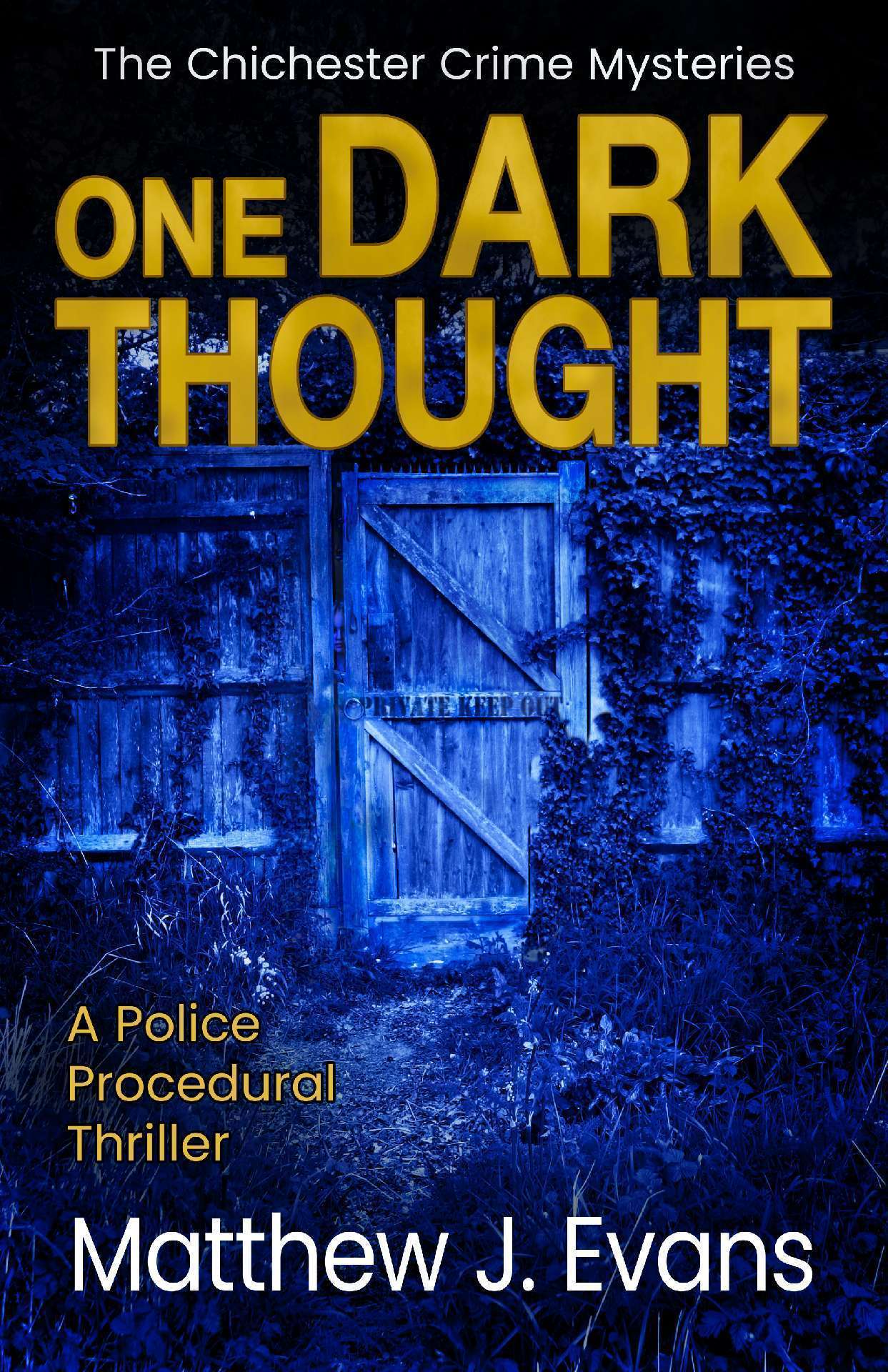One Dark Thought - The Chichester Crime Mysteries 4