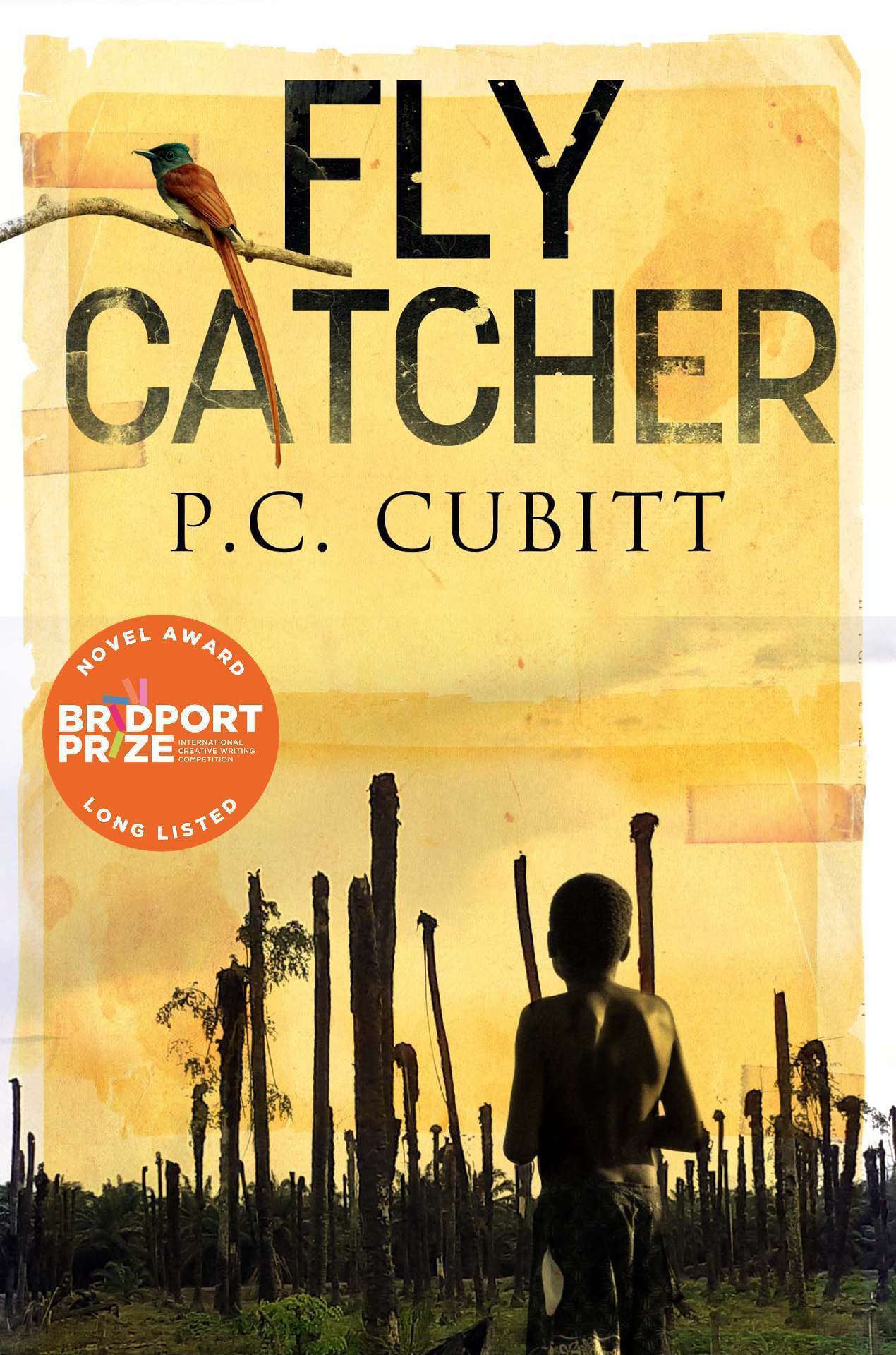 Fly Catcher
