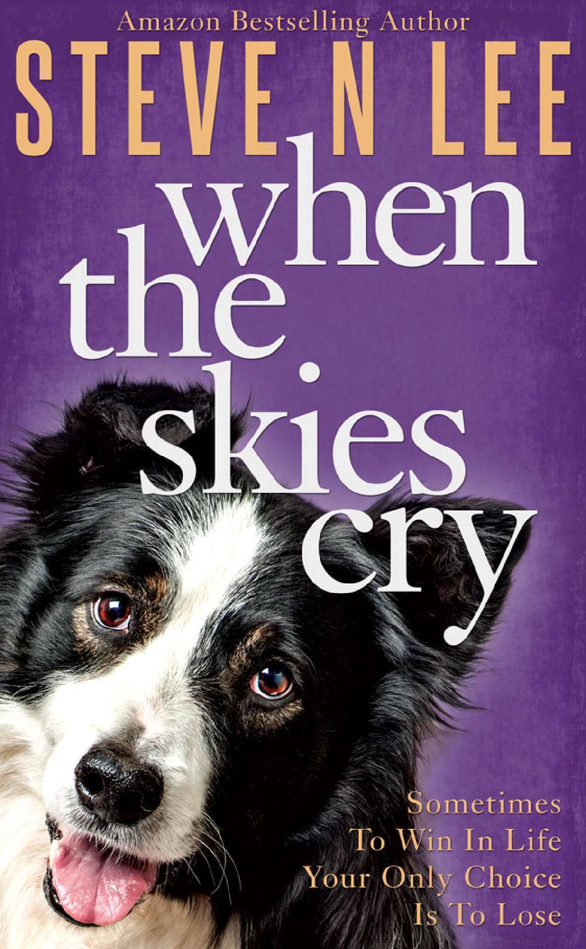 When The Skies Cry: Heartwarming Dog Fiction - Books for Dog Lovers 2