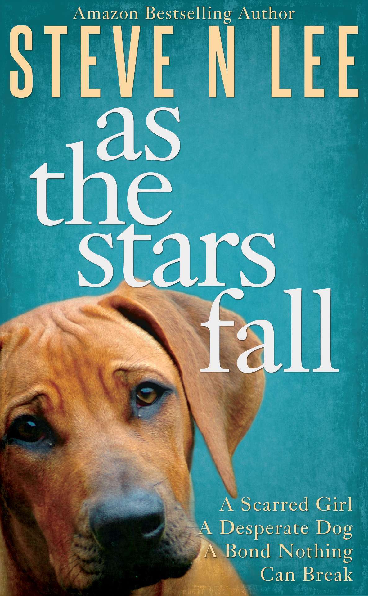 As The Stars Fall: A Heartwarming Dog Novel - Books for Dog Lovers 1