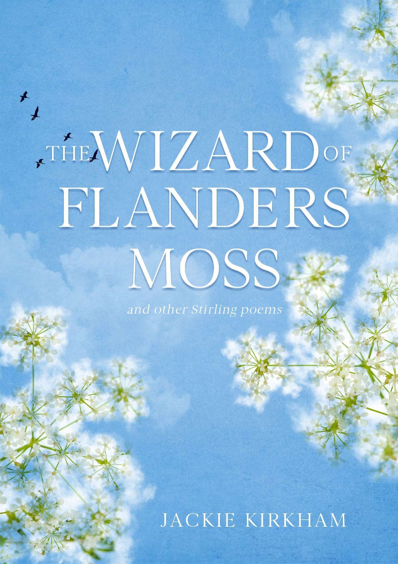 The Wizard of Flanders Moss: and other Stirling poems