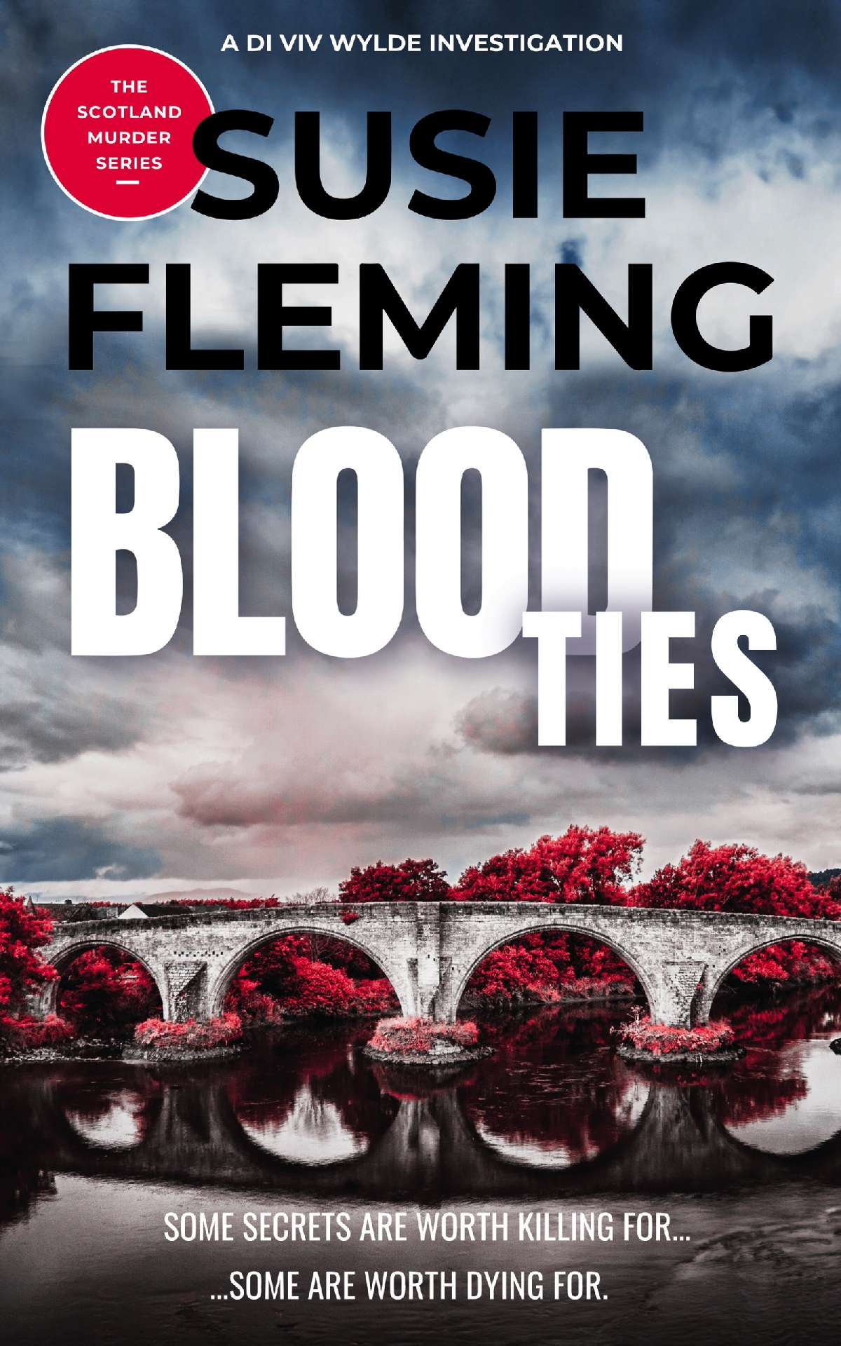 Blood Ties - A DI Viv Wylde Investigation 1