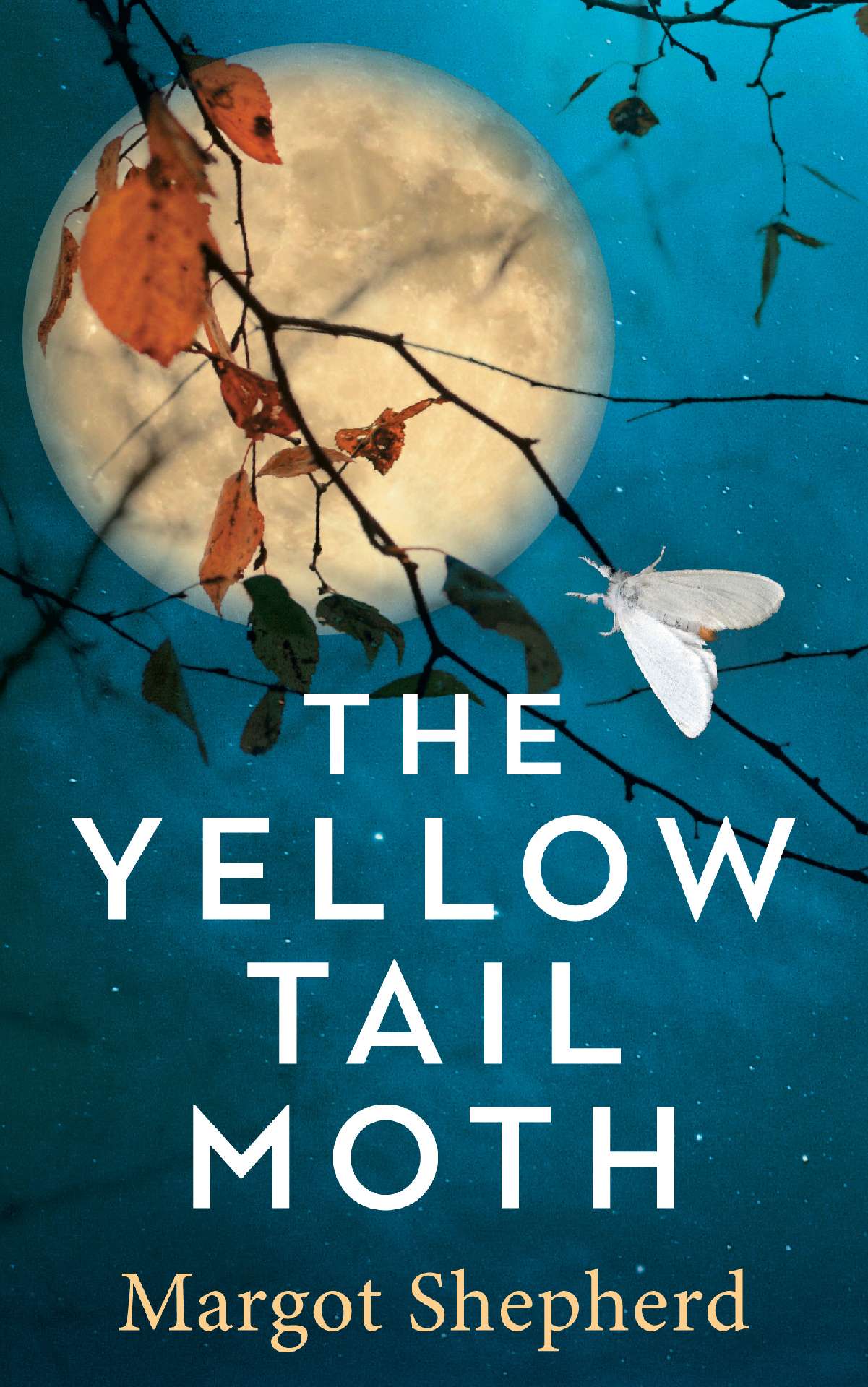 The Yellow-Tail Moth