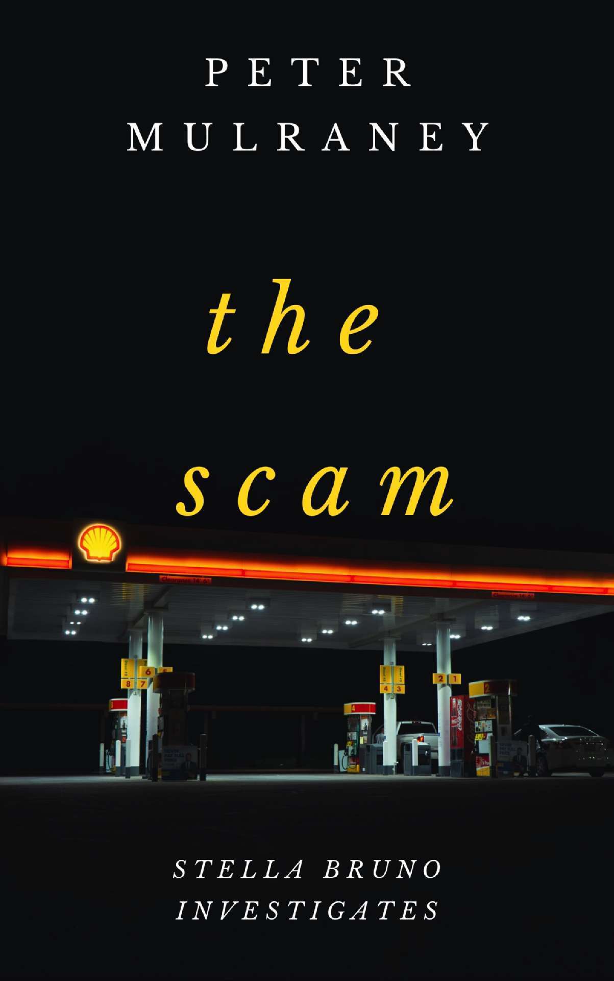 The Scam - Stella Bruno Investigates 8