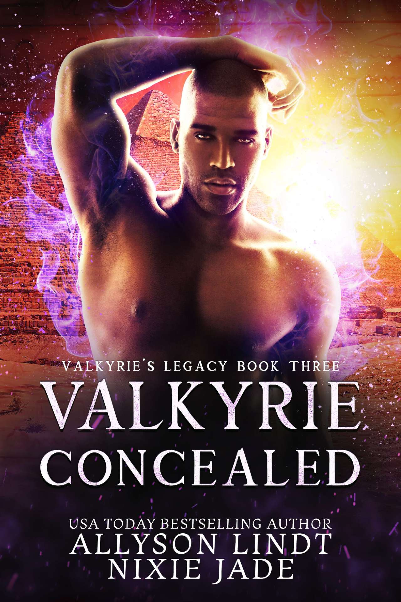 Valkyrie Concealed - Valkyrie's Legacy 3