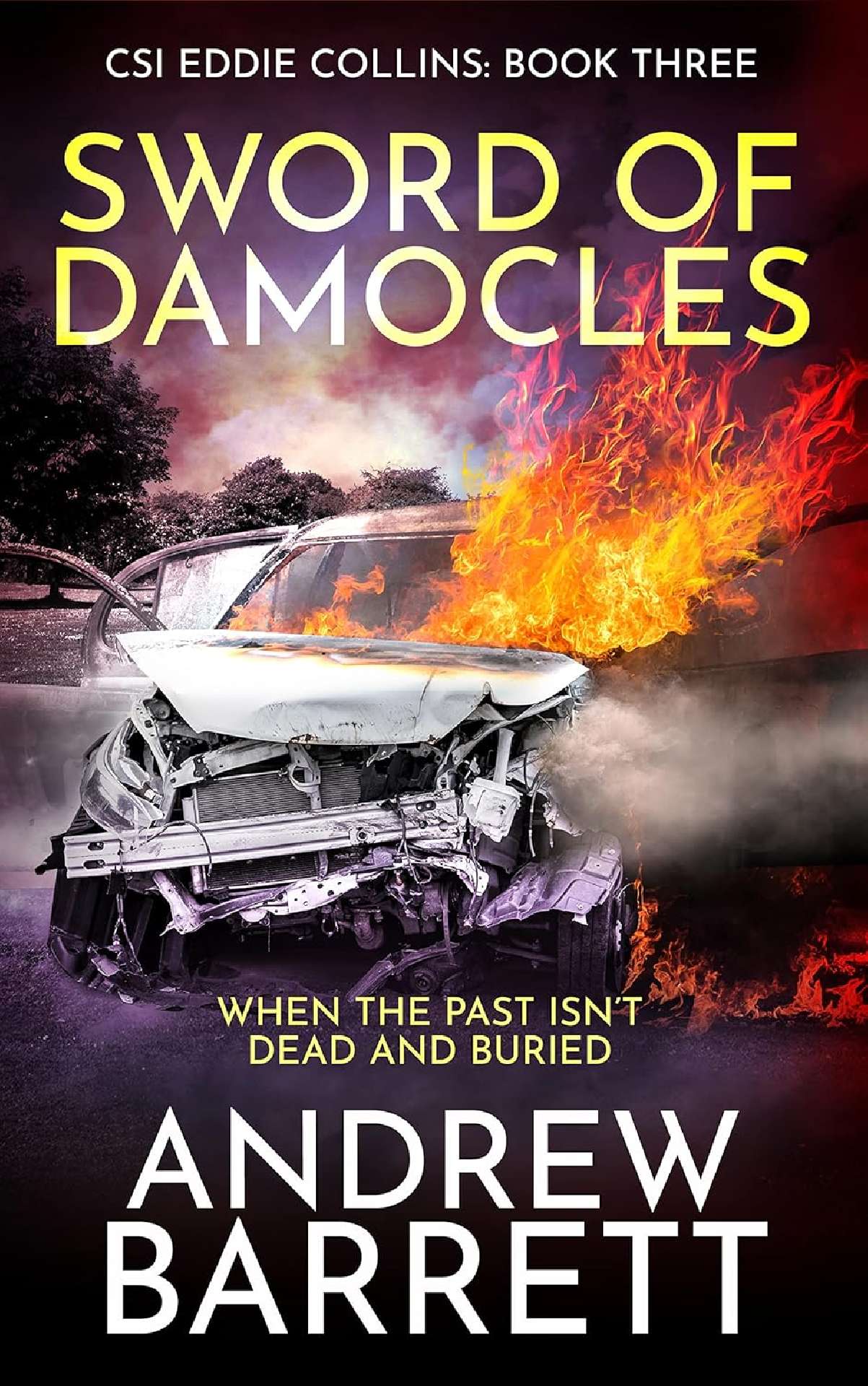 Sword of Damocles - CSI Eddie Collins Book