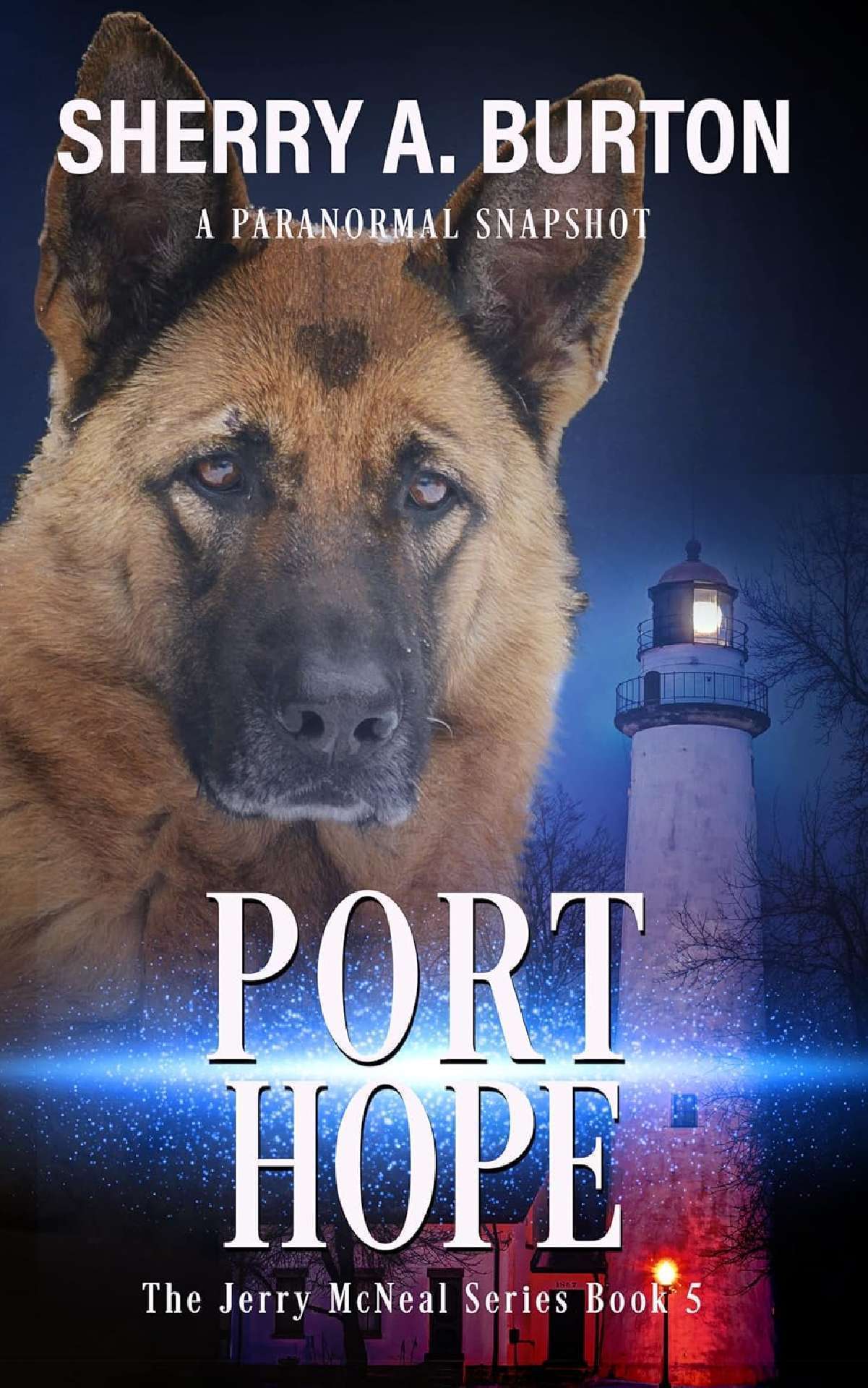 Port Hope (book 5) - The Jerry McNeal Series