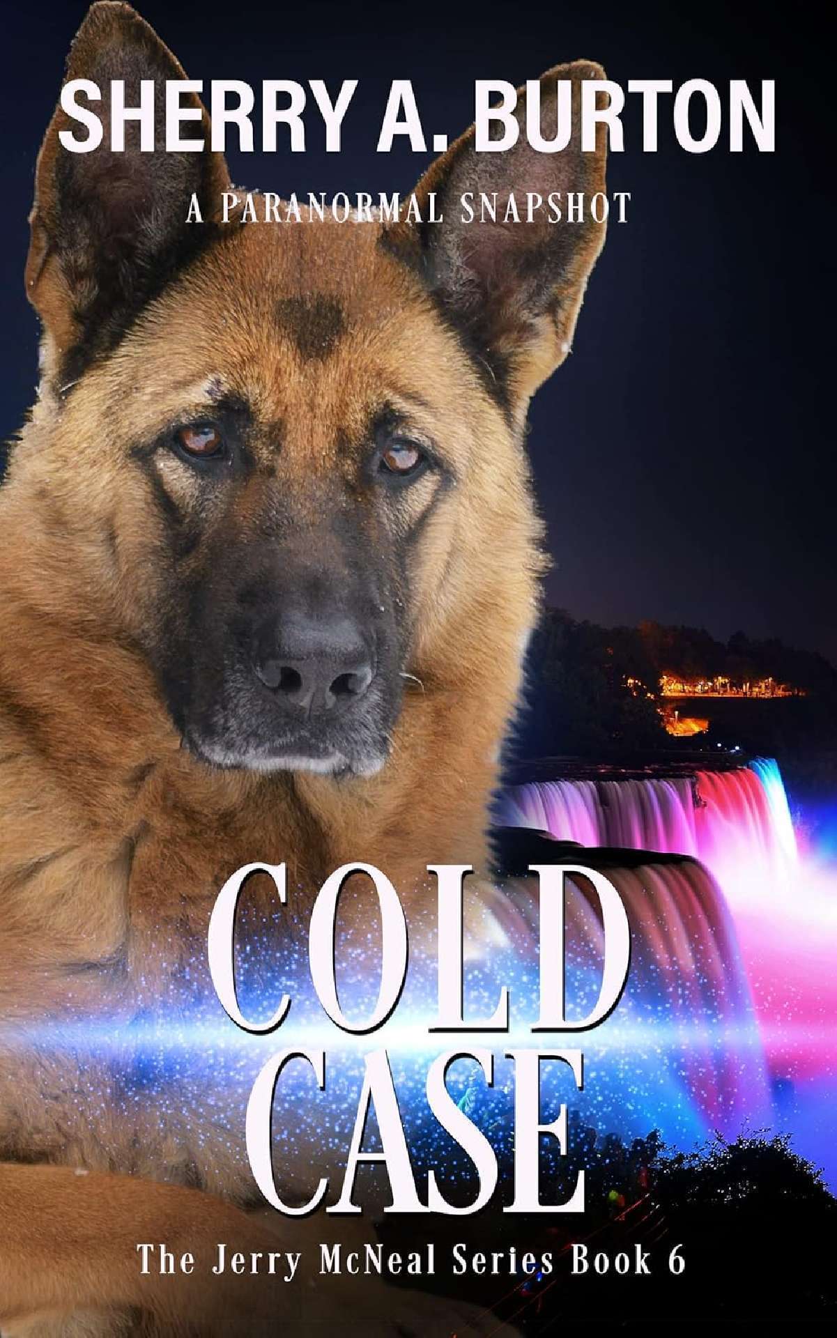 Cold Case (book 6) - The Jerry McNeal Series